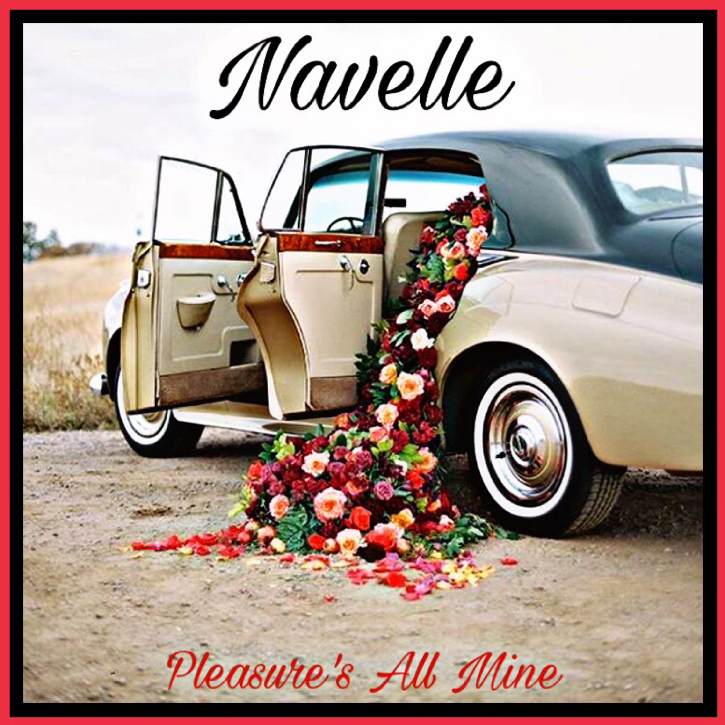 Pleasure's All Mine artwork