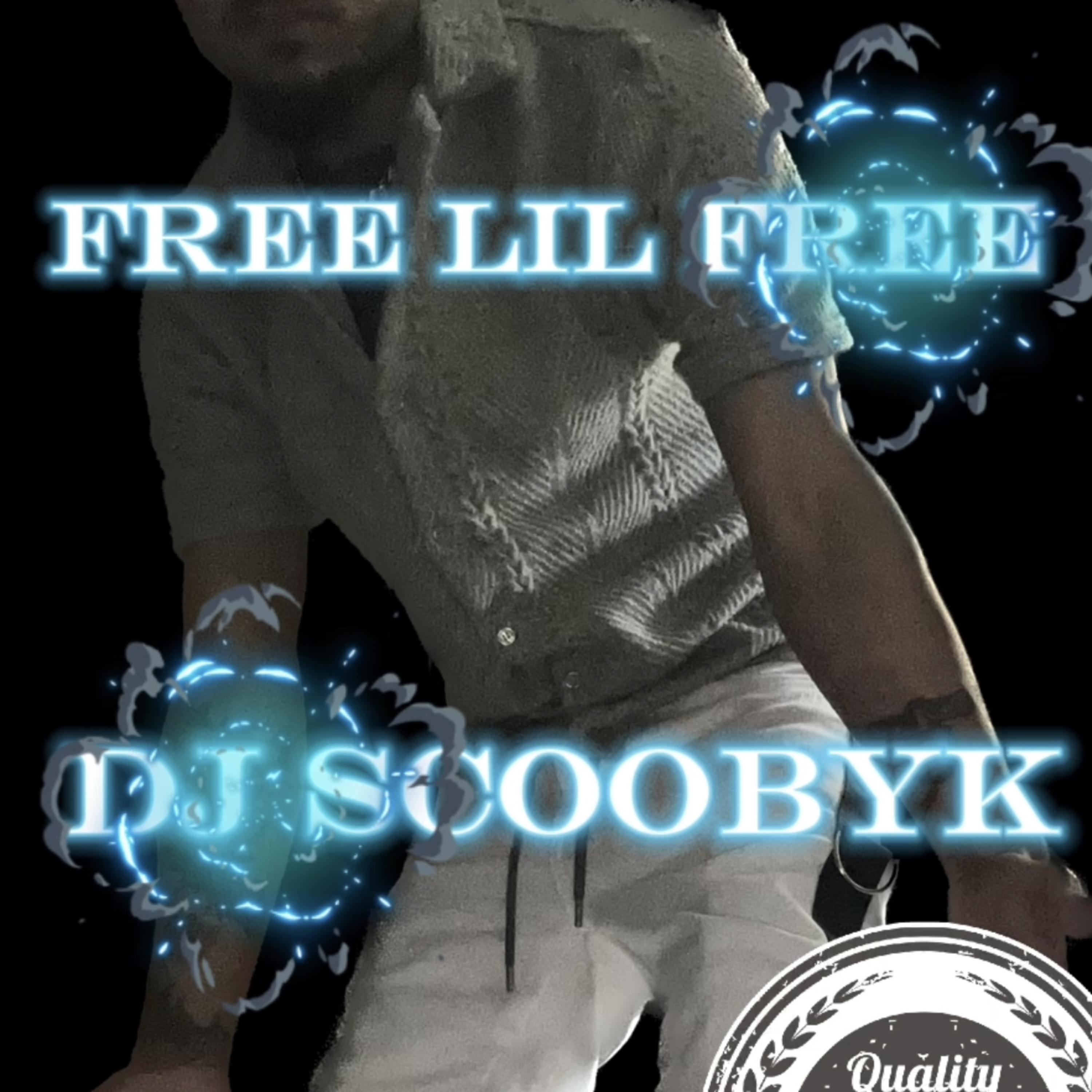 Free Lil Free artwork