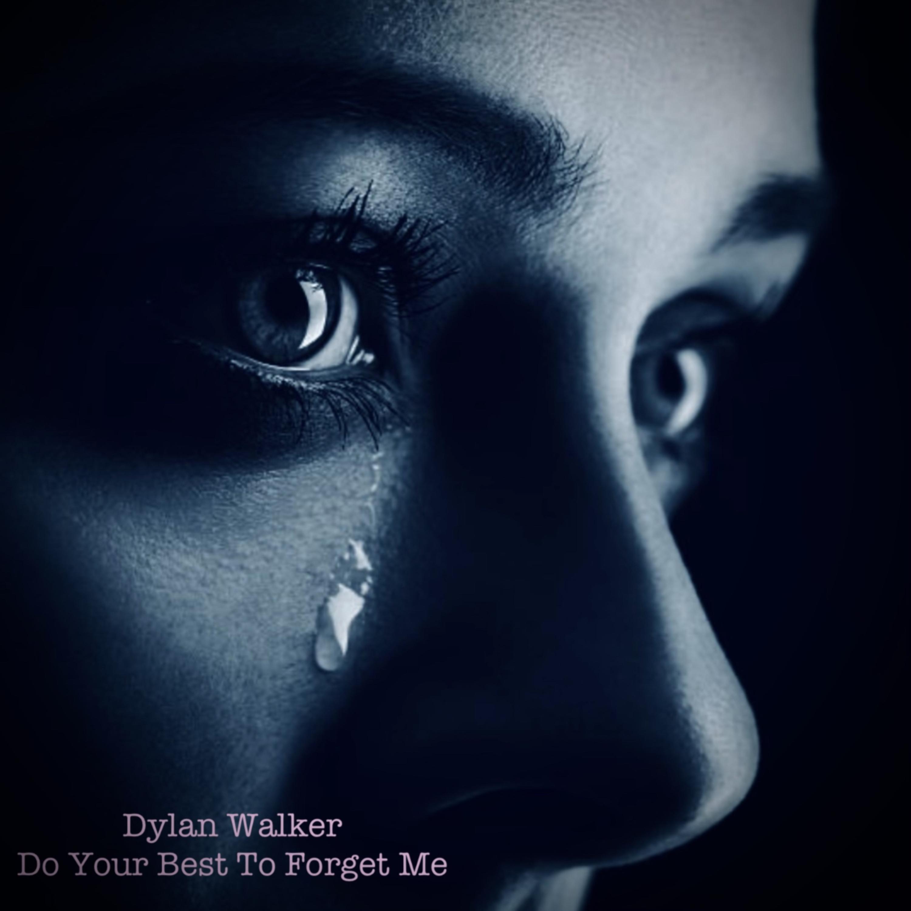 Do Your Best To Forget Me artwork