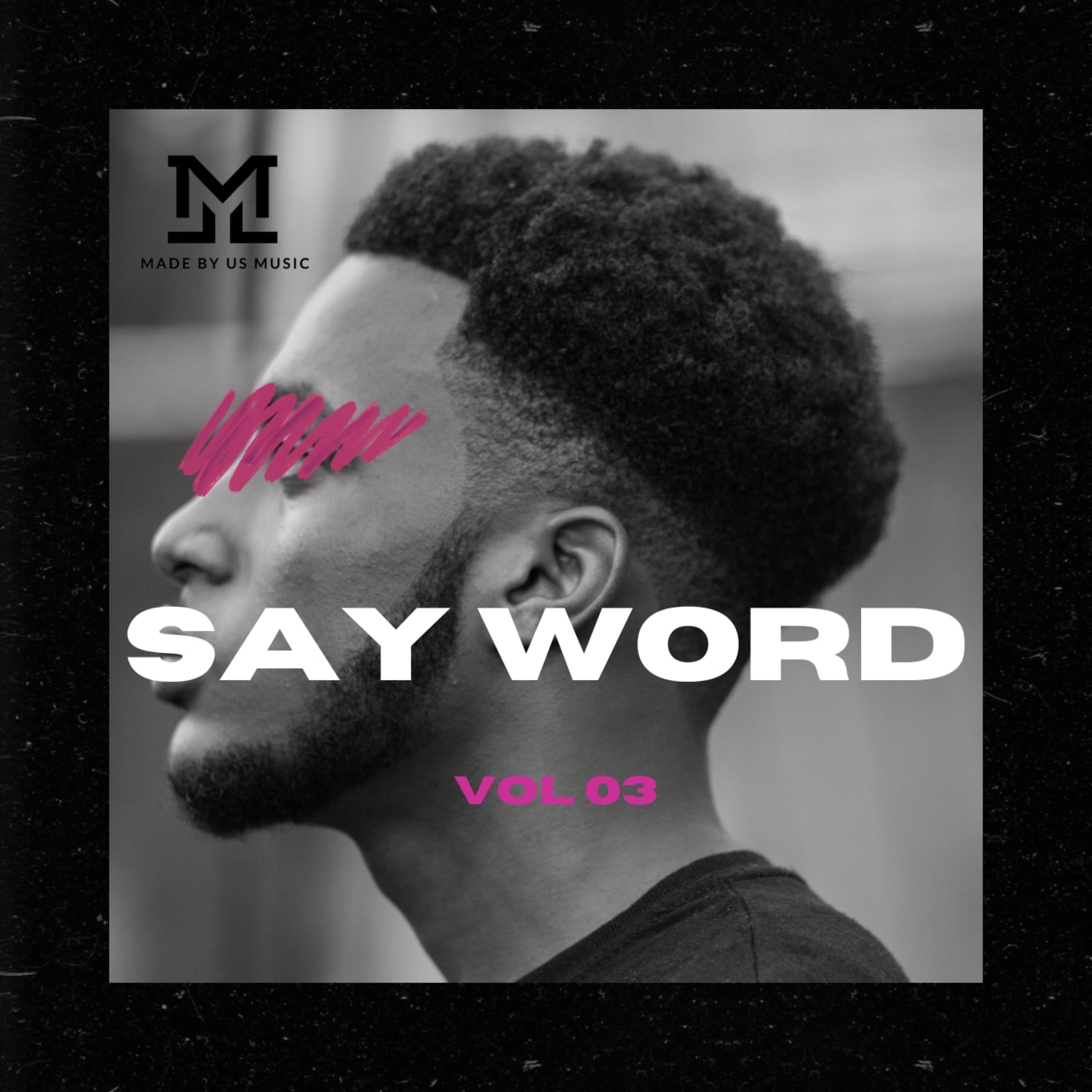 Say Word Hip Hop Vocals Vol 3 artwork