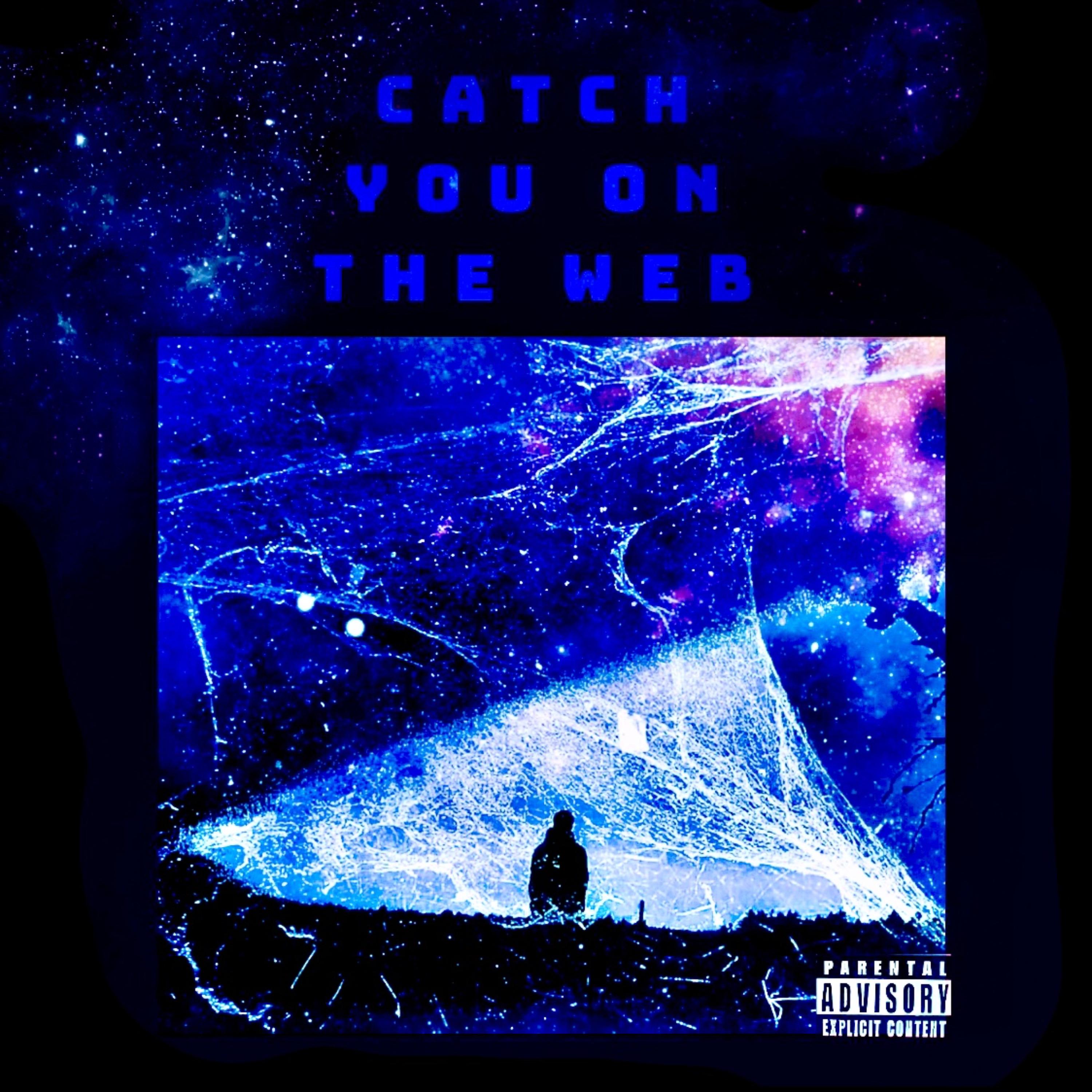 Catch You On The Web artwork