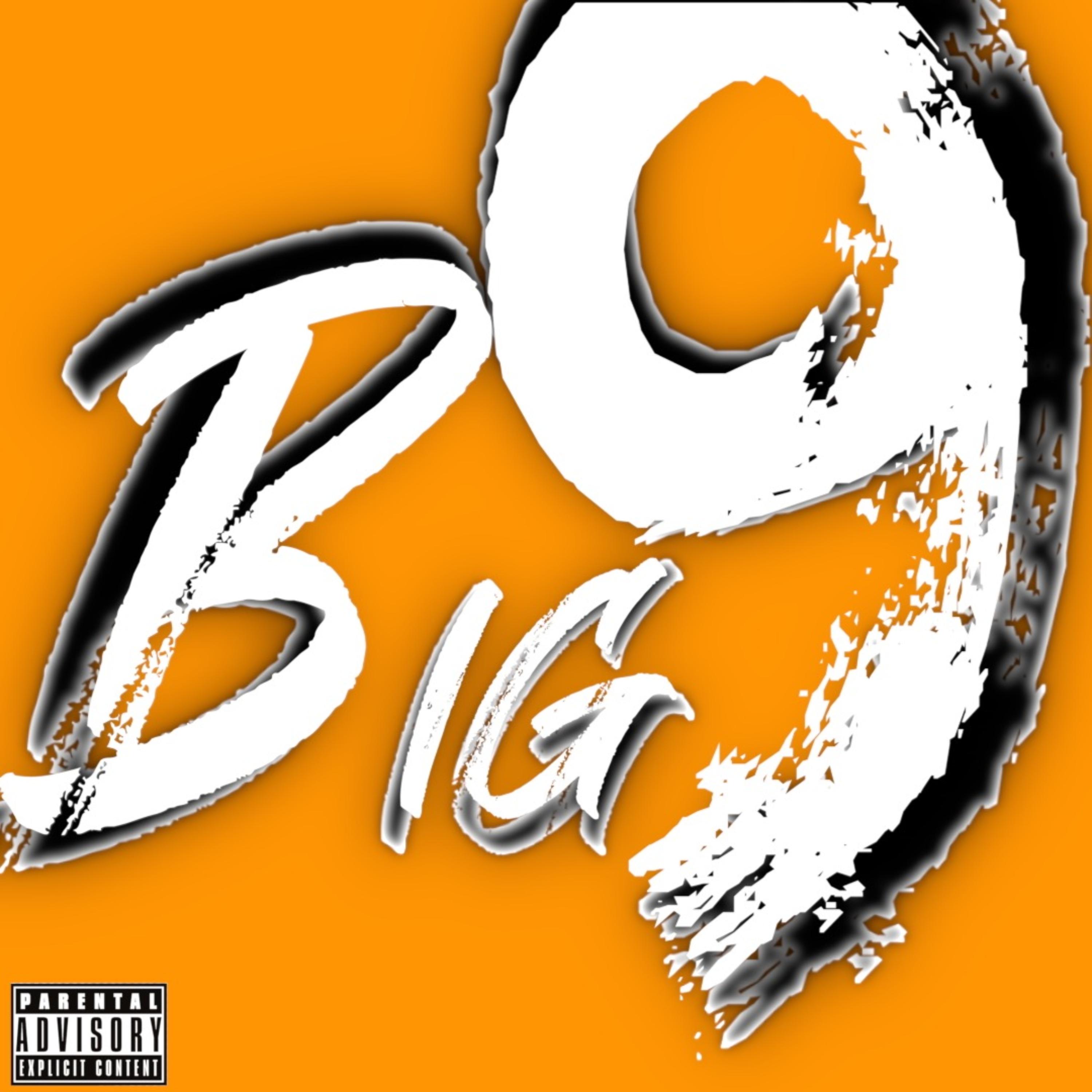 Big 9 by Ju cover art