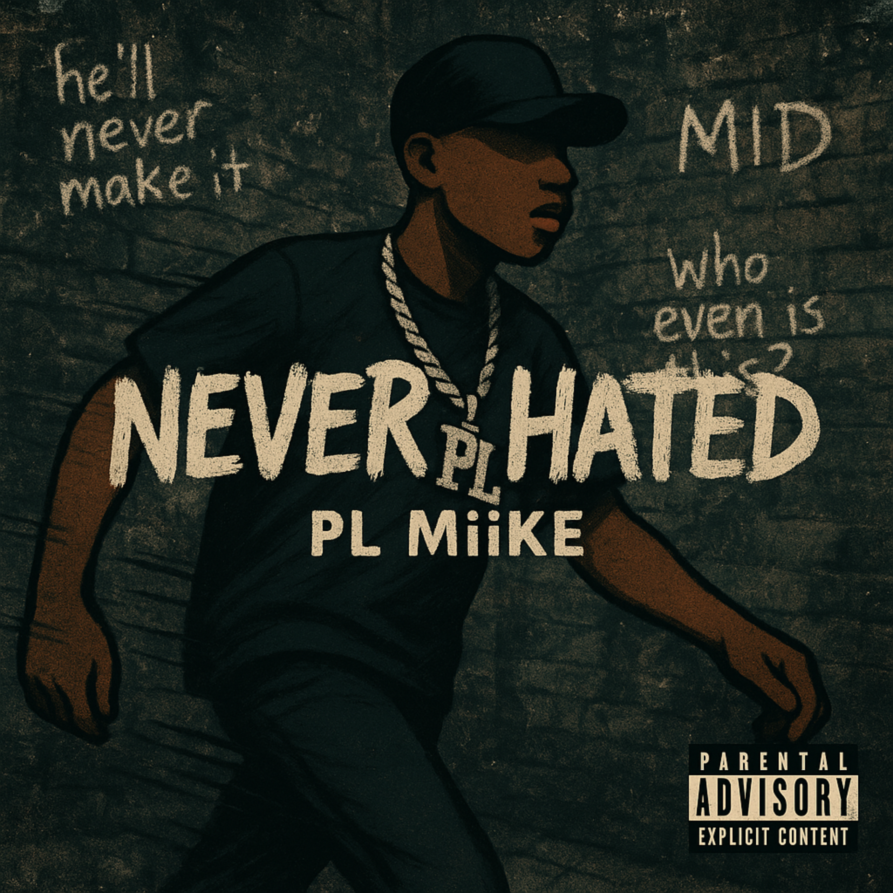 Never Hated artwork