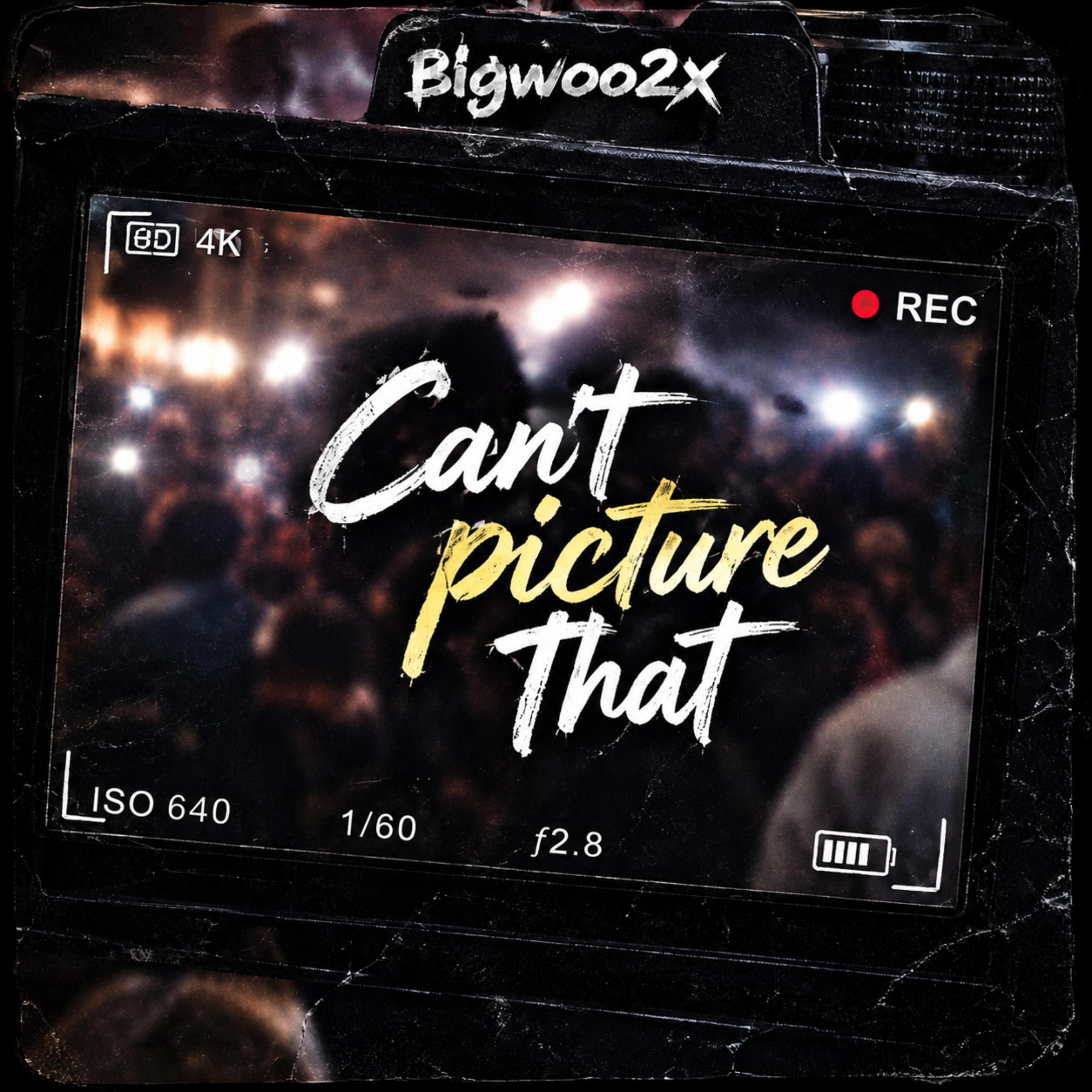 Can’t Picture That by Bigwoo2x cover art