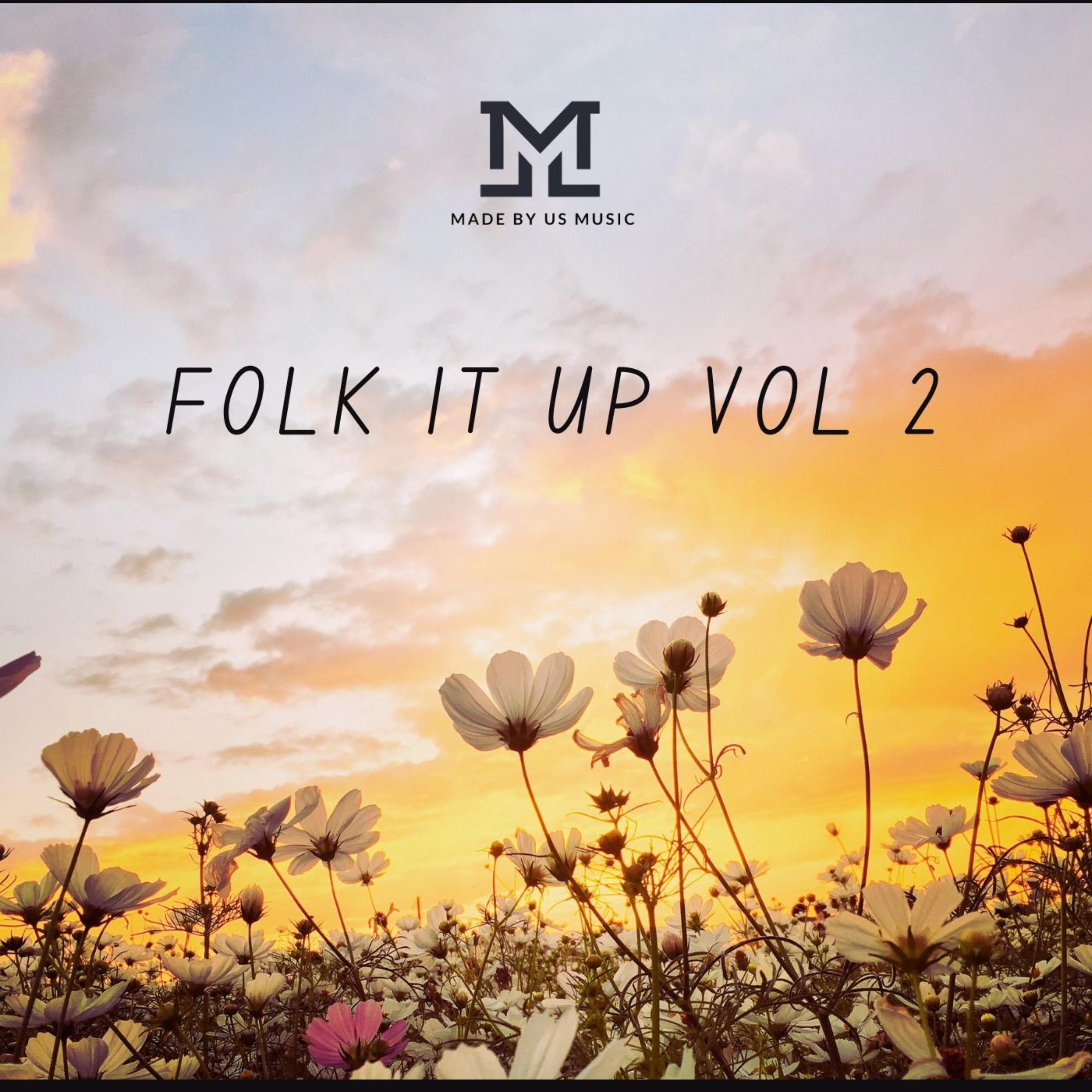 Folk It Up Vol 2 artwork