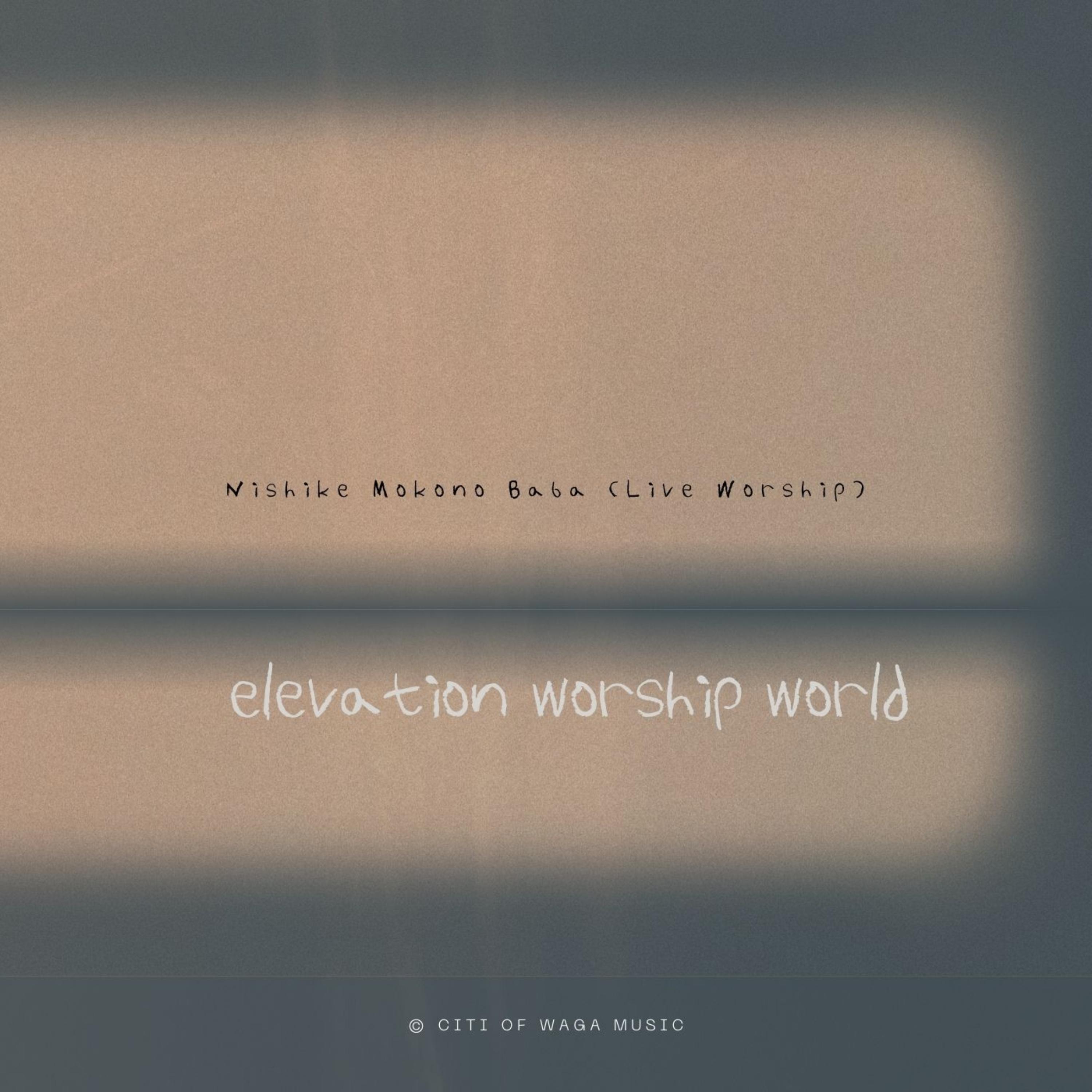 Nishike Mkono Baba (Live Worship) artwork