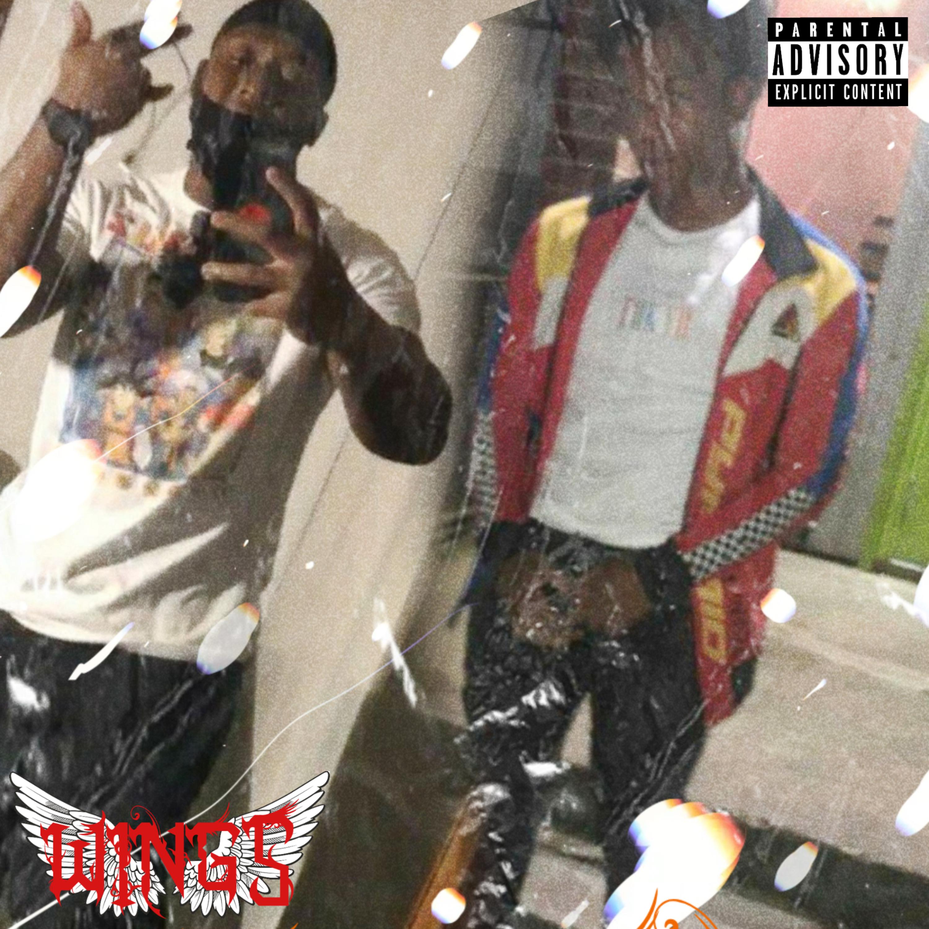 Wings artwork