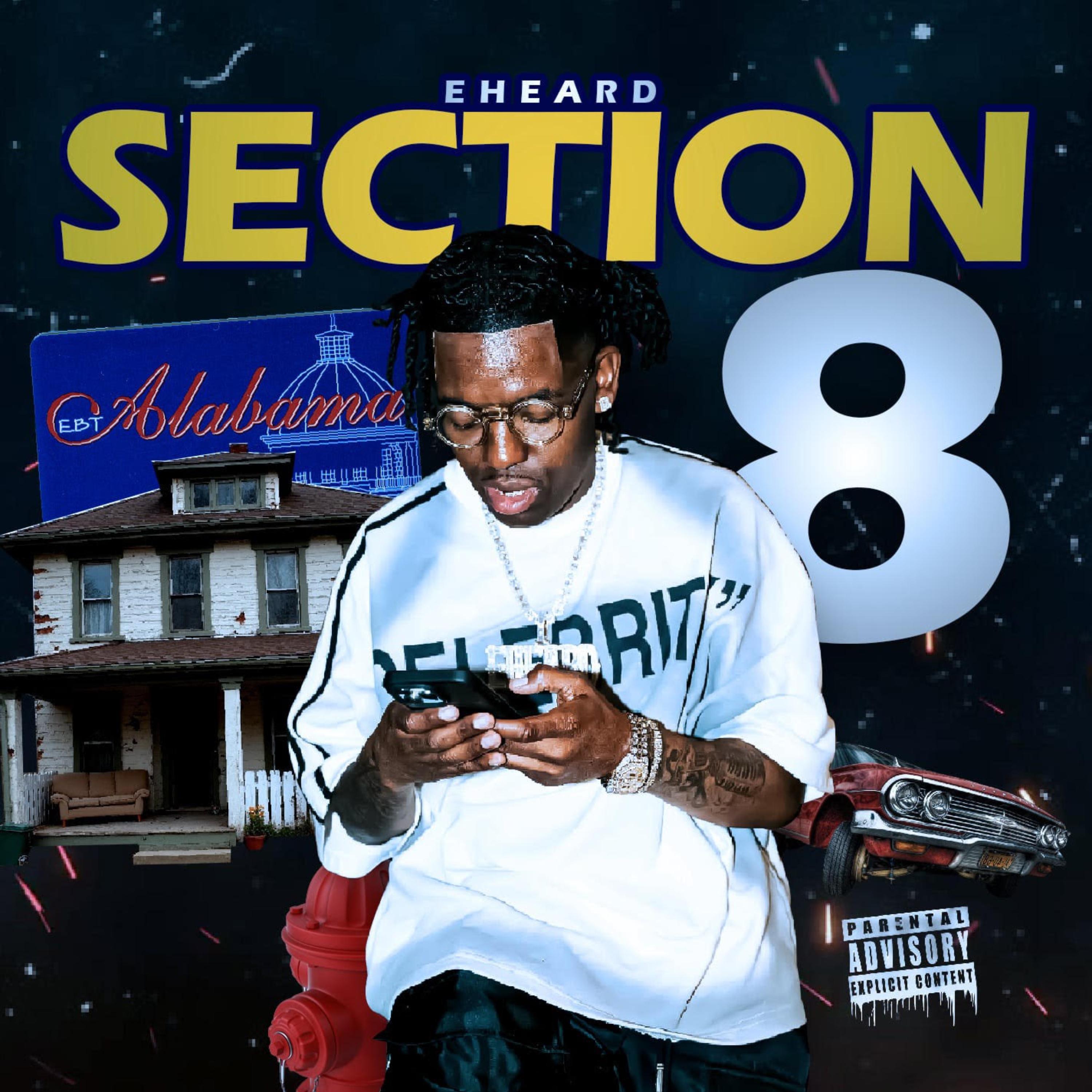 Section 8 artwork