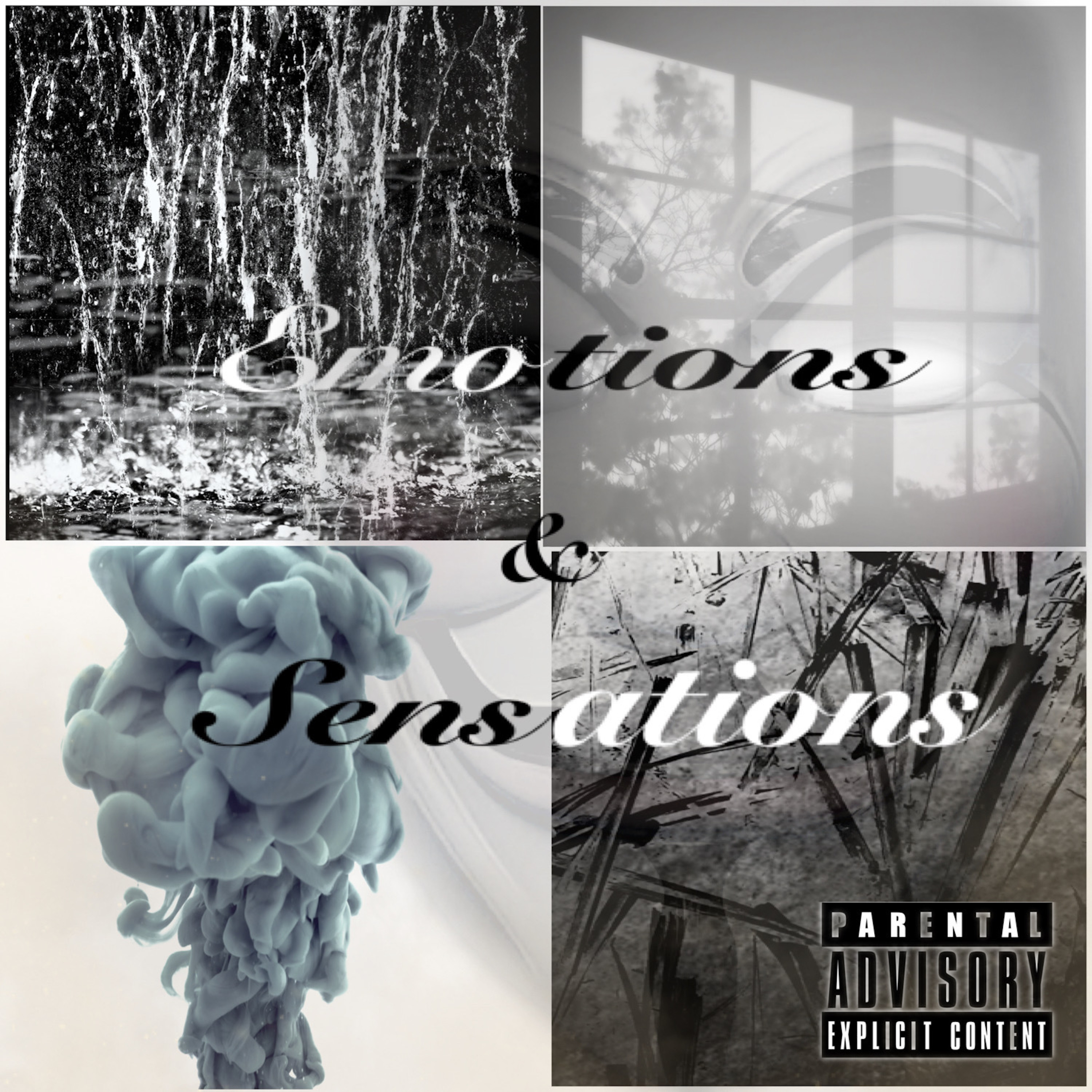 Emotions & Sensations artwork