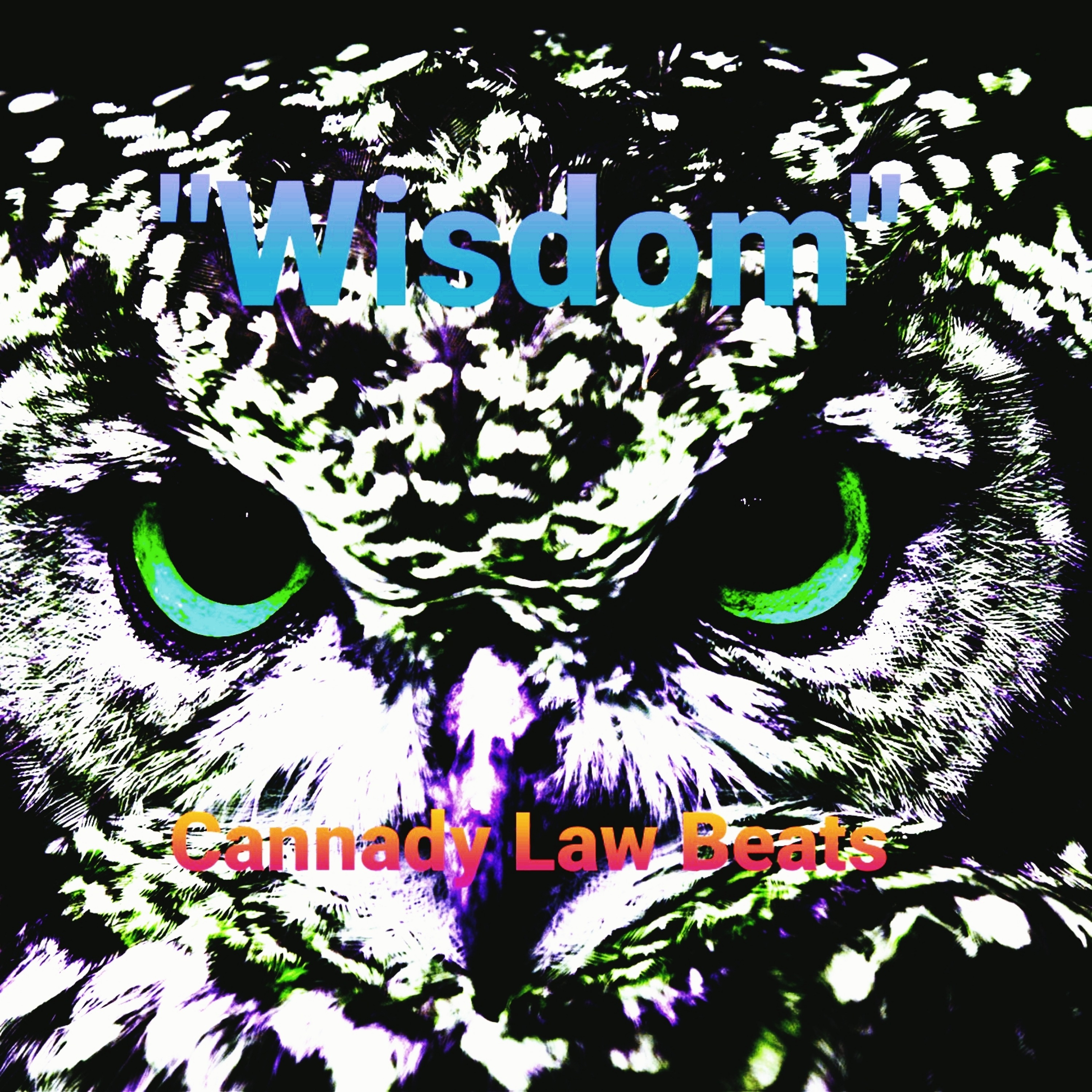 Wisdom by Cannady Law Beats cover art