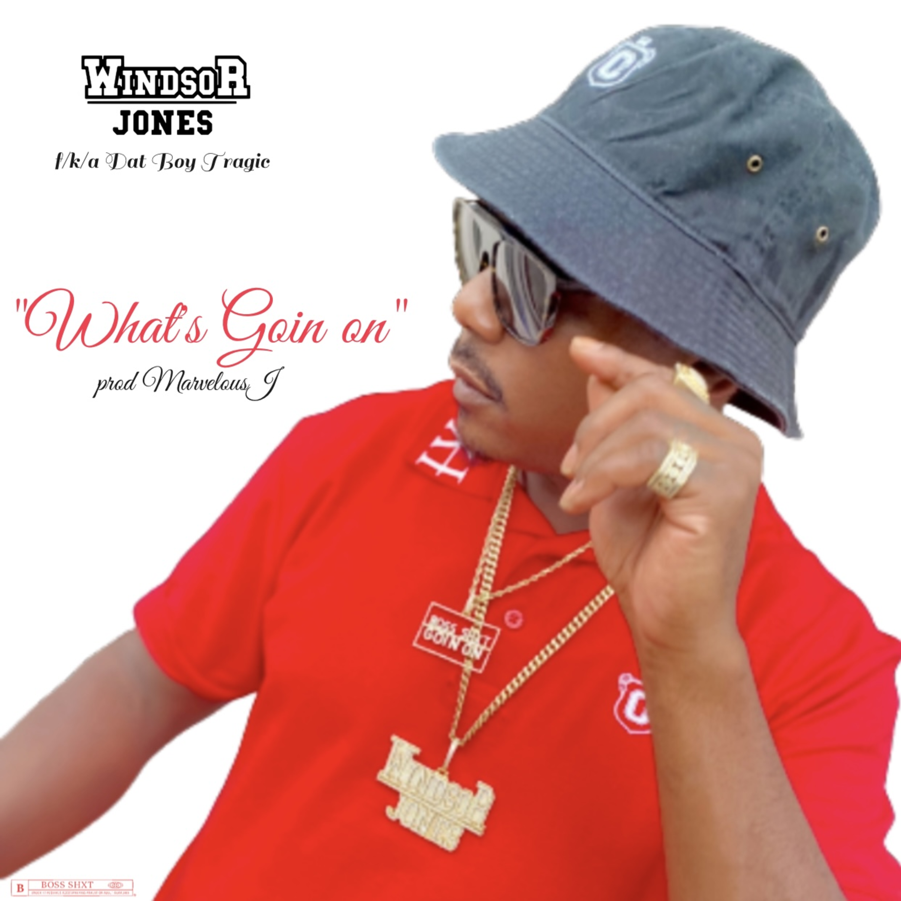 Whats Goin On artwork