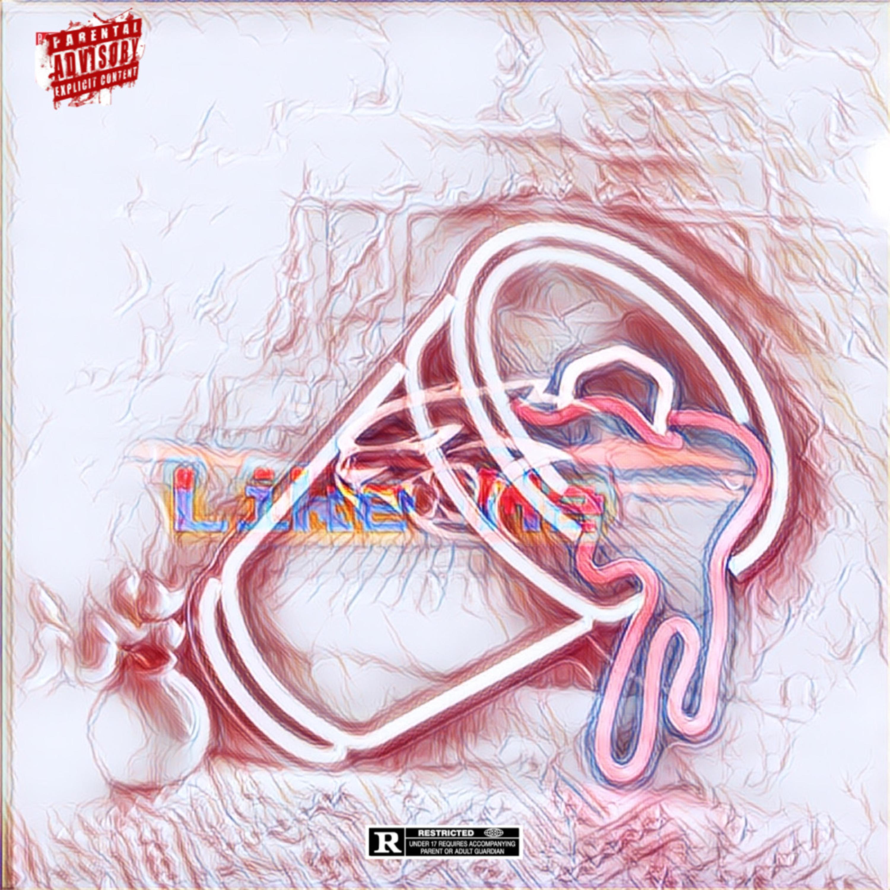 Like Me artwork