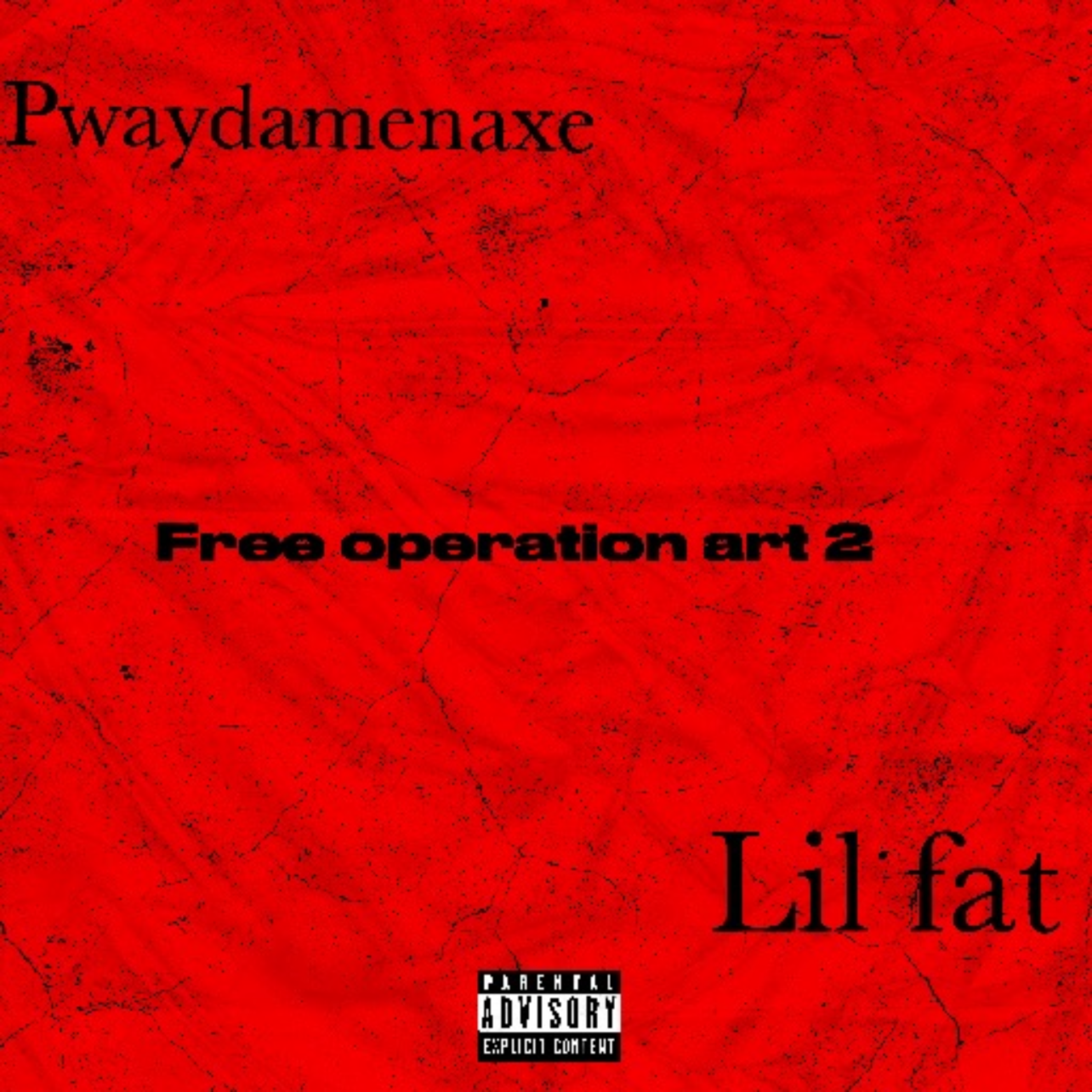 Free Operation Pt 2 artwork