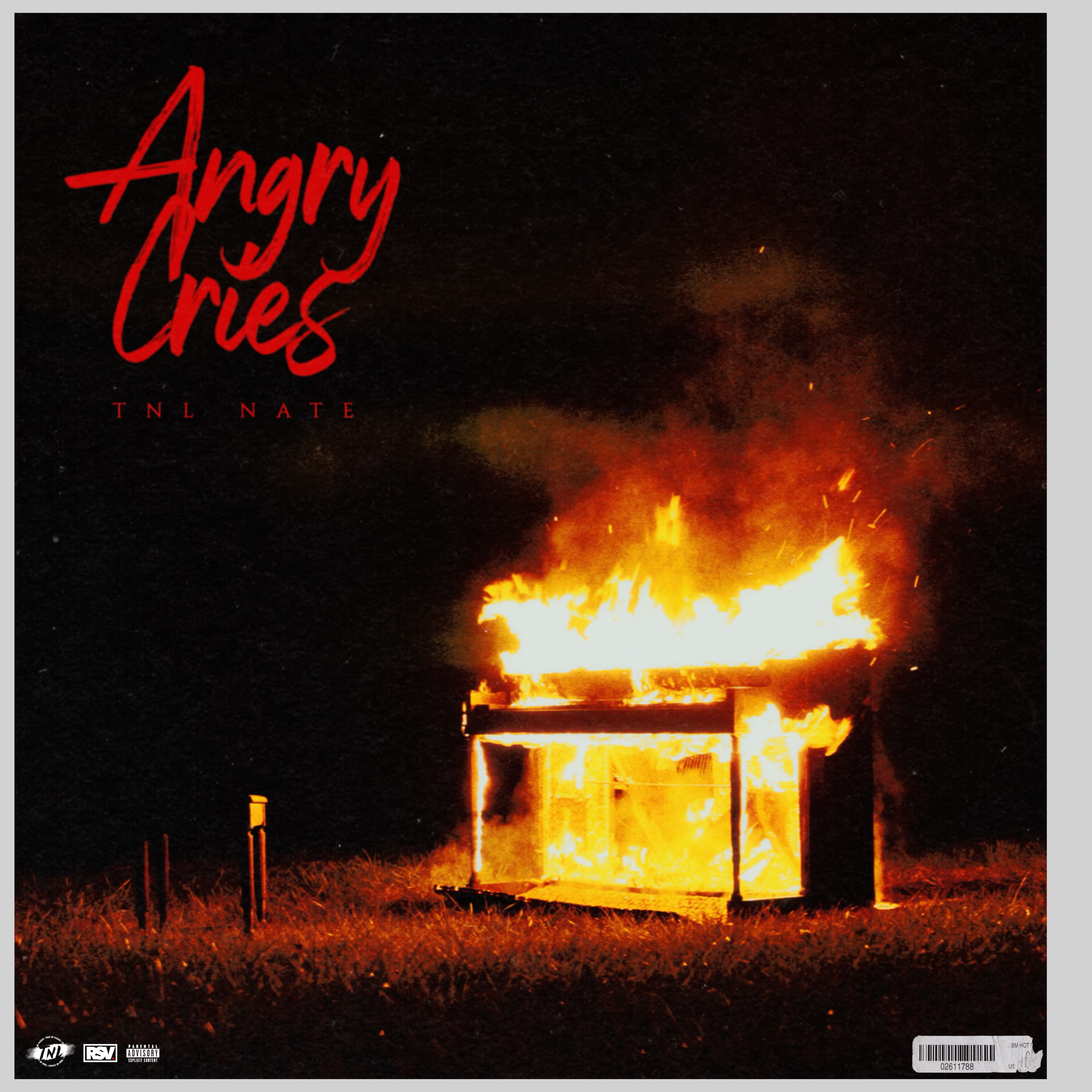 Angry Cries artwork