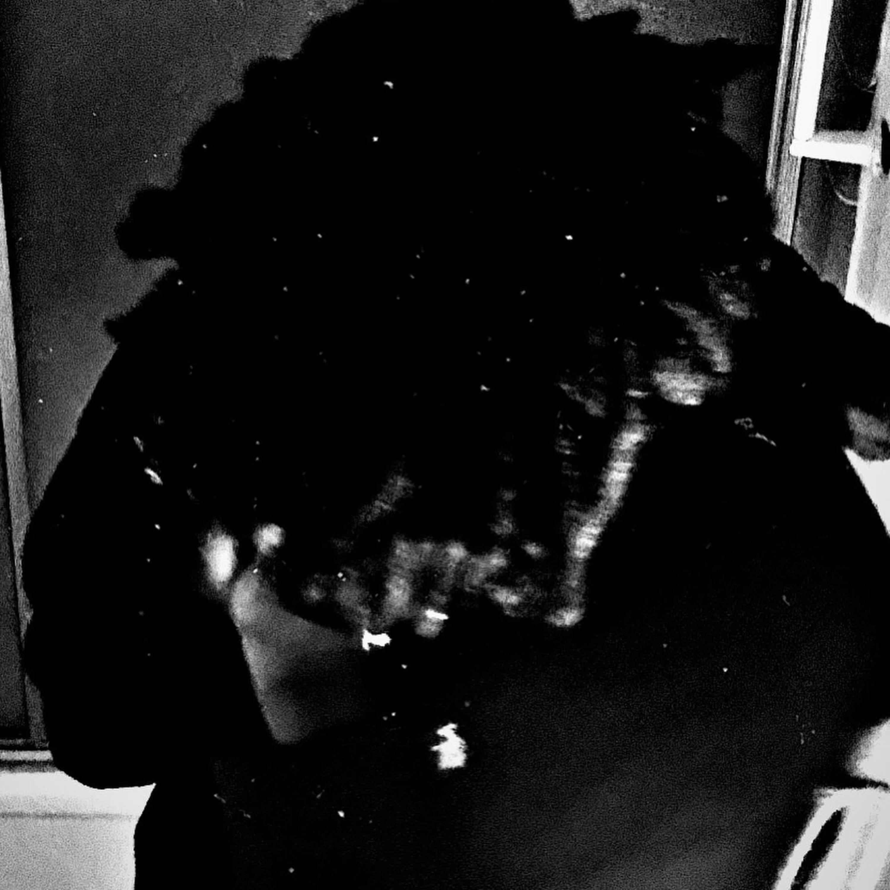 TRUST NO ONE artwork