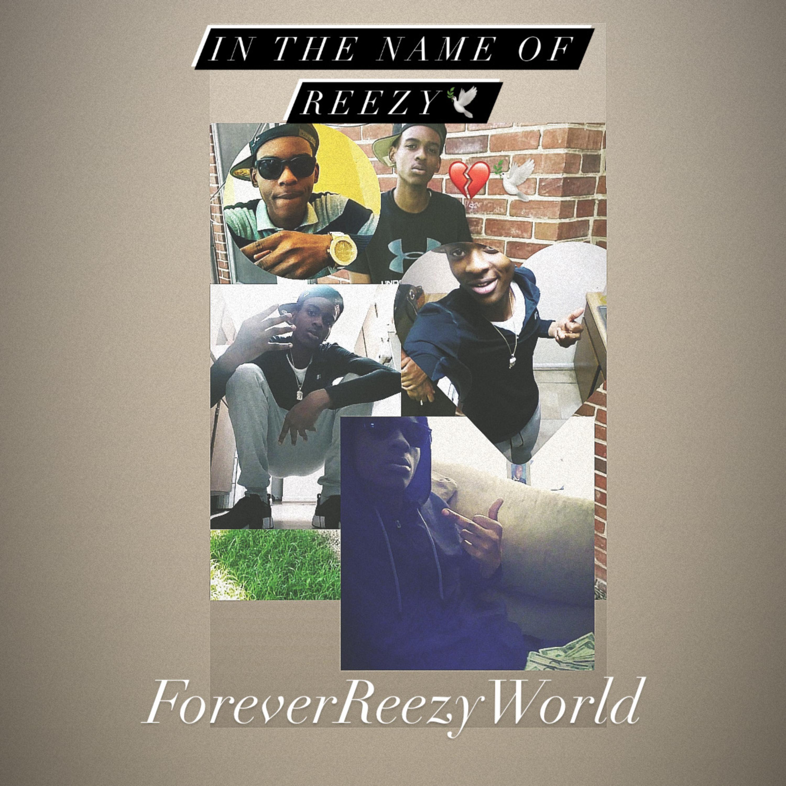 In The Name Of Reezy artwork