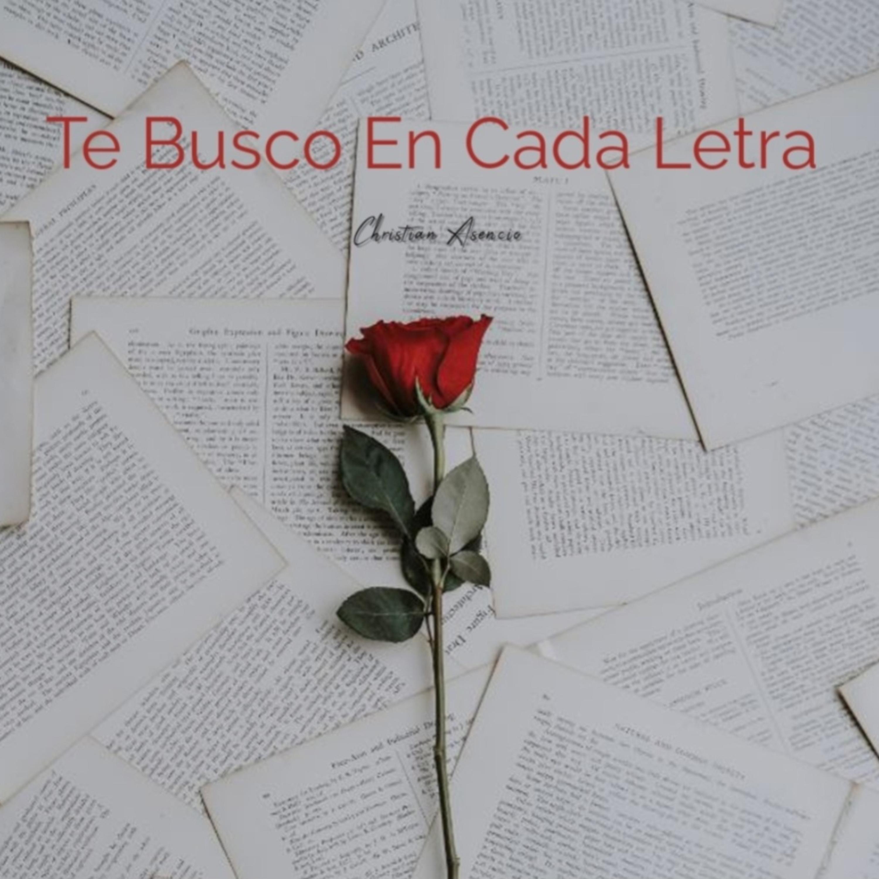 Te Busco En Cada Letra artwork
