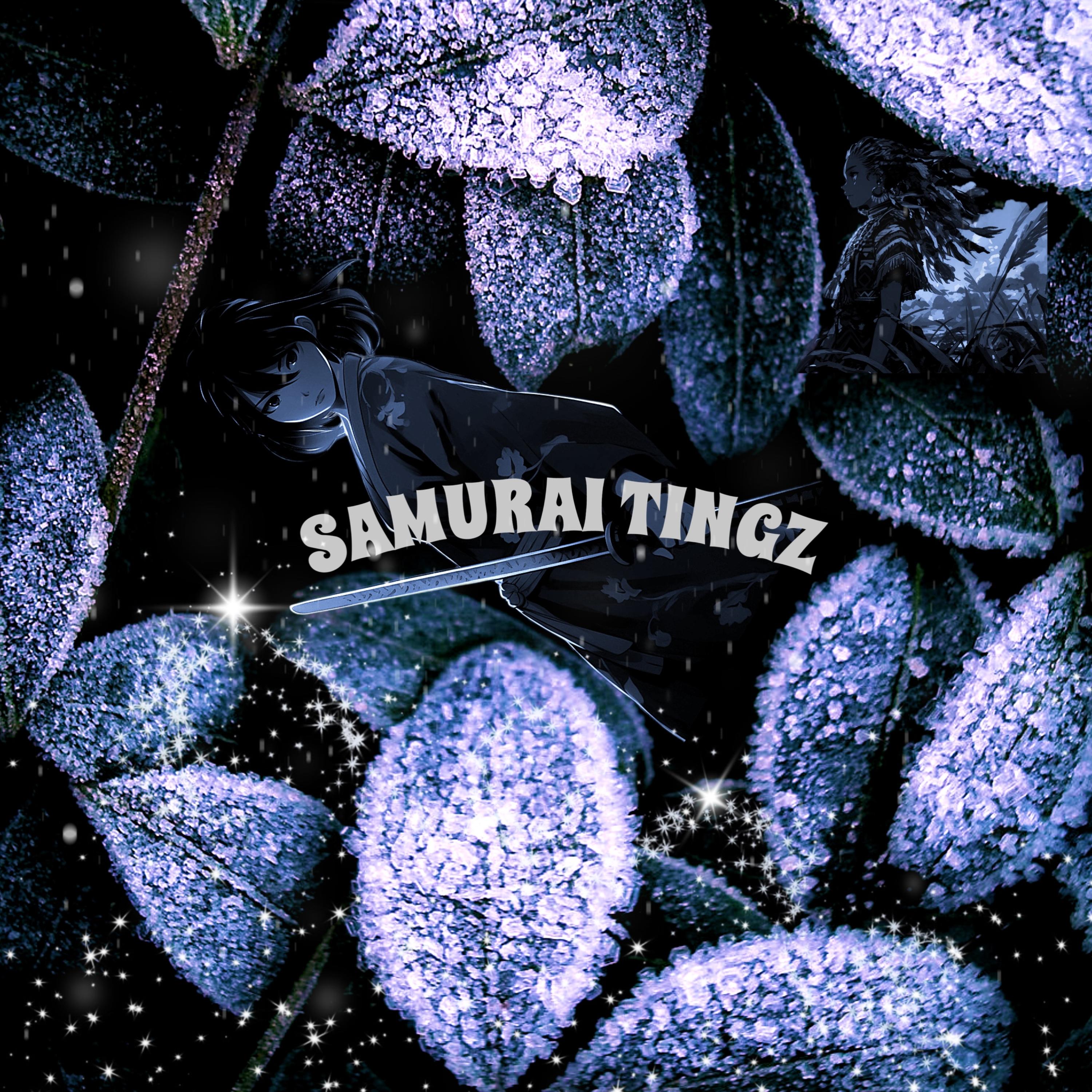 SAMURAI TINGZ artwork