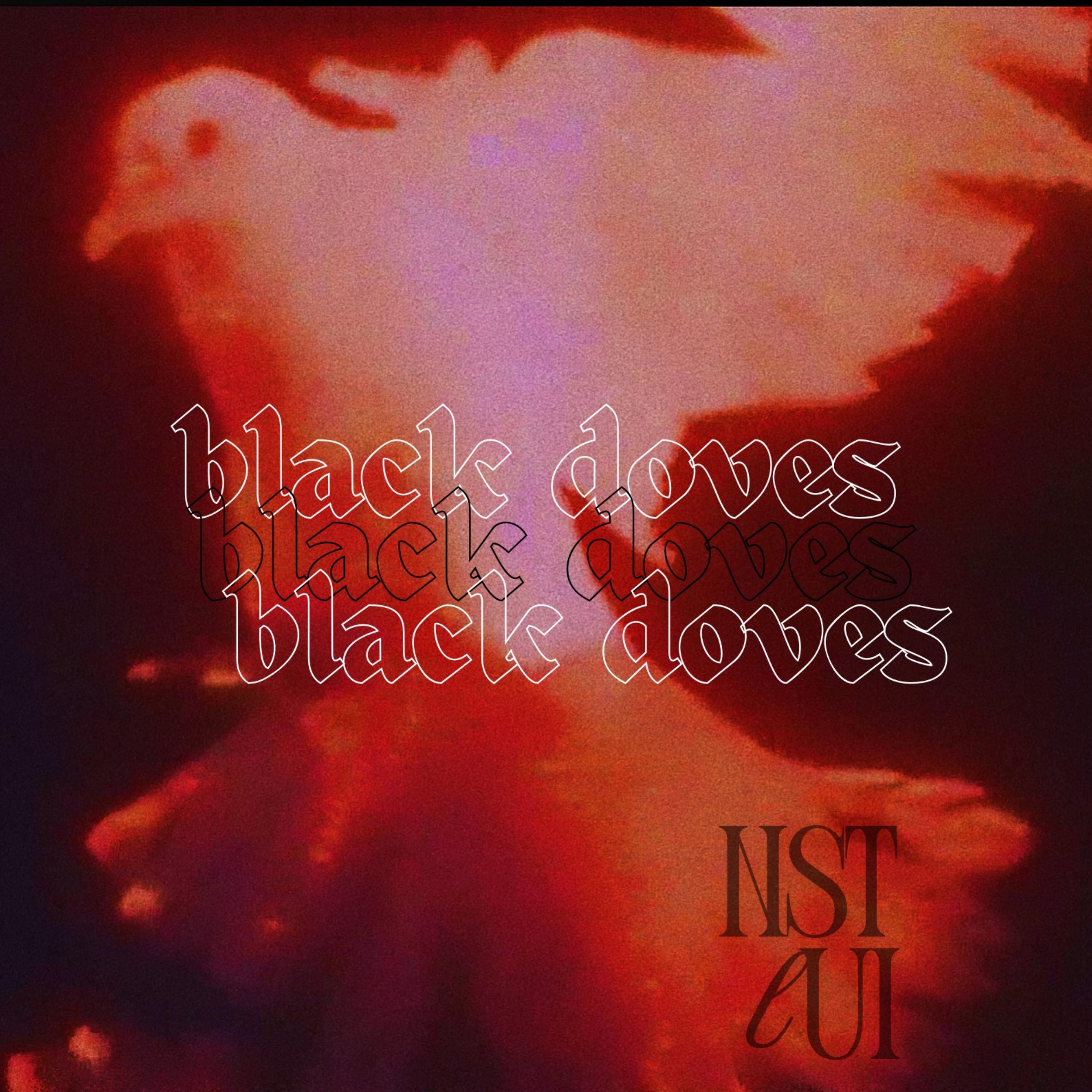 Black Doves 2025 artwork