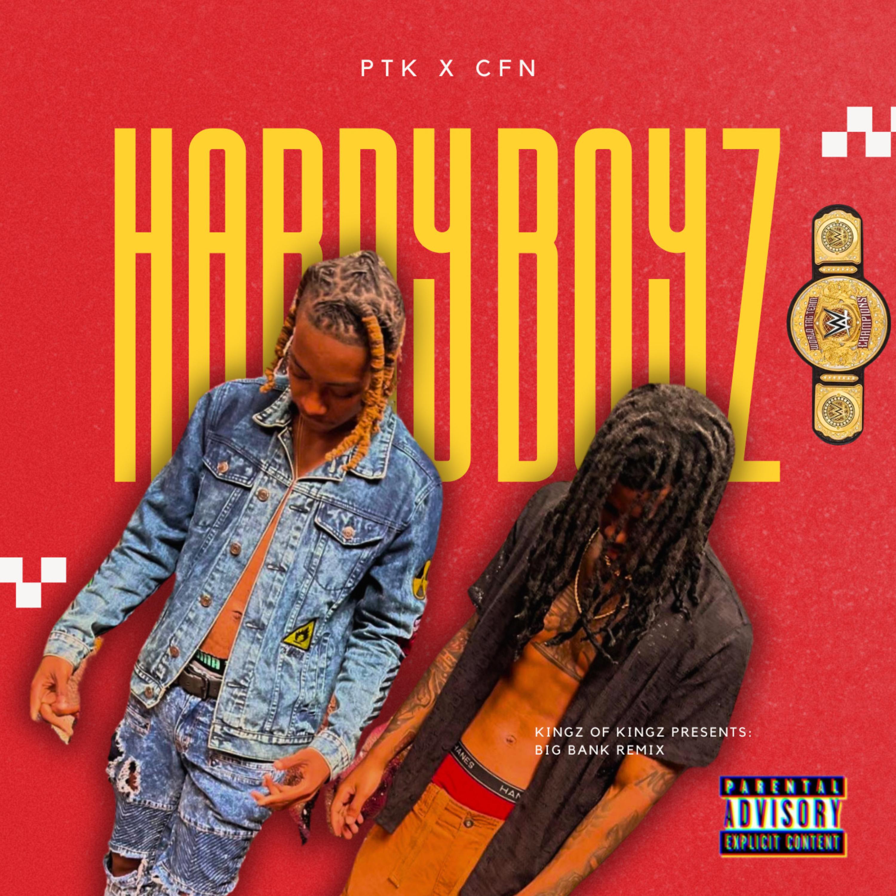 Hardy Boyz (Big Bank Remix) artwork