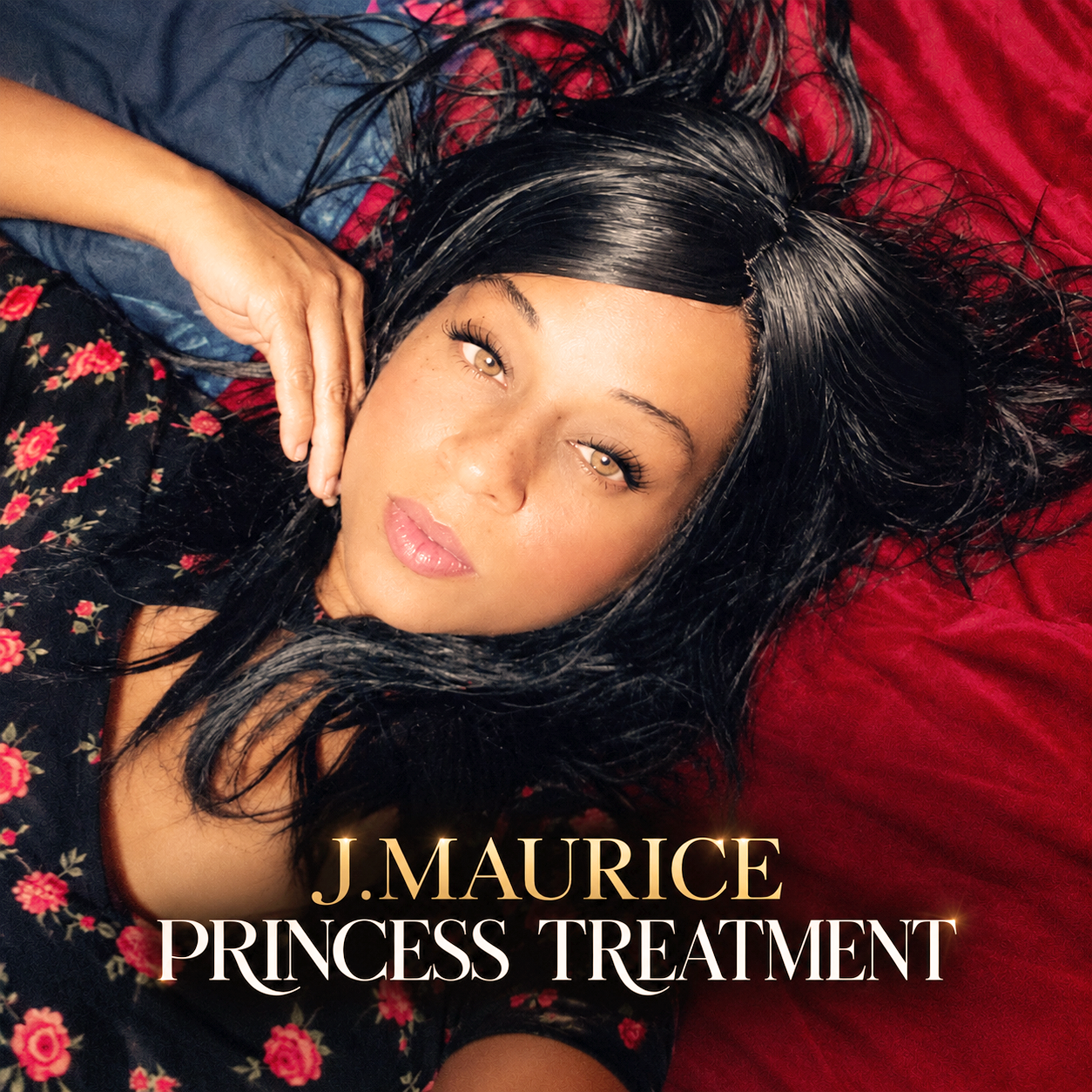 PRINCESS TREATMENT by J. Maurice cover art