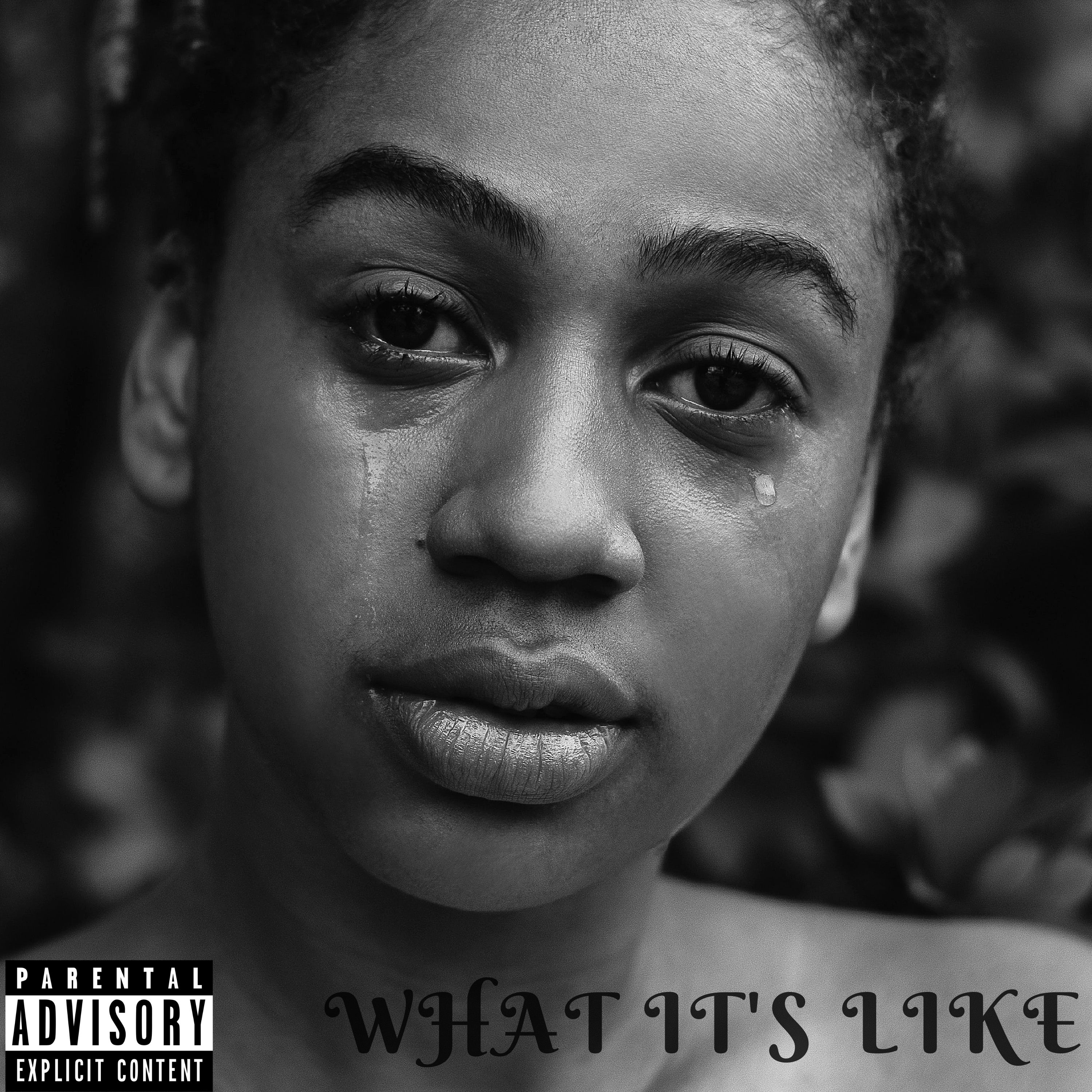 What It's Like artwork