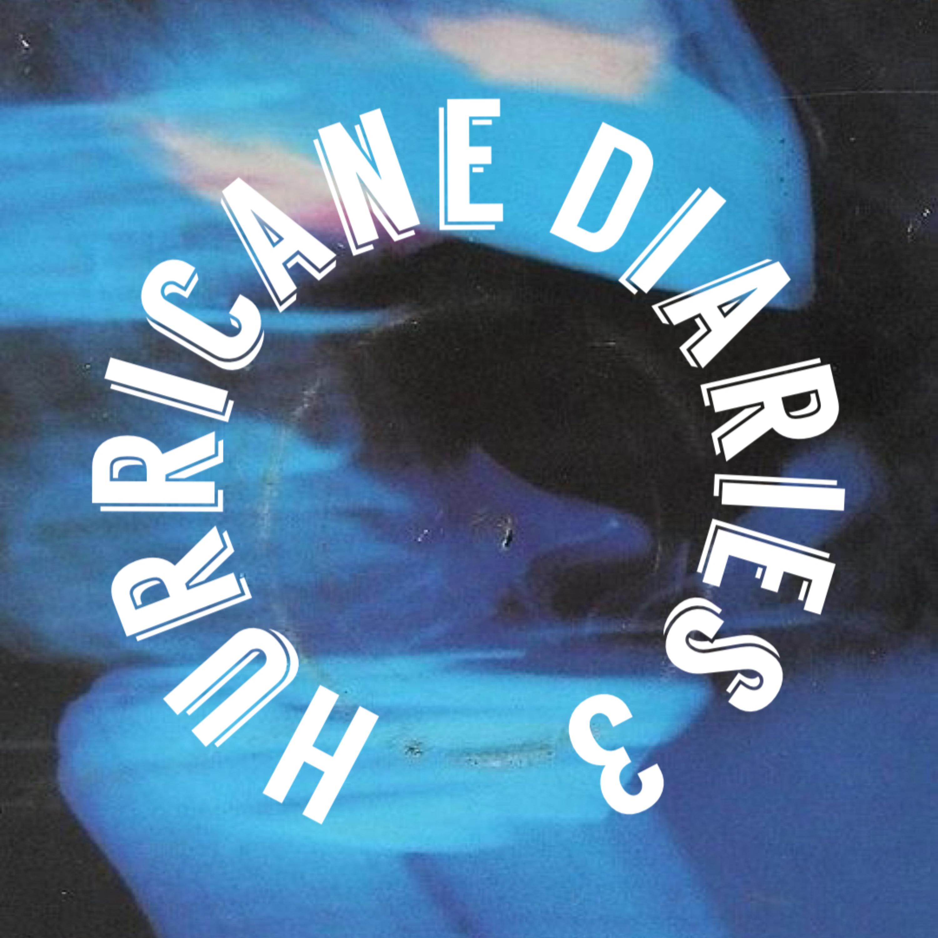 Hurricane Diaries 3 artwork