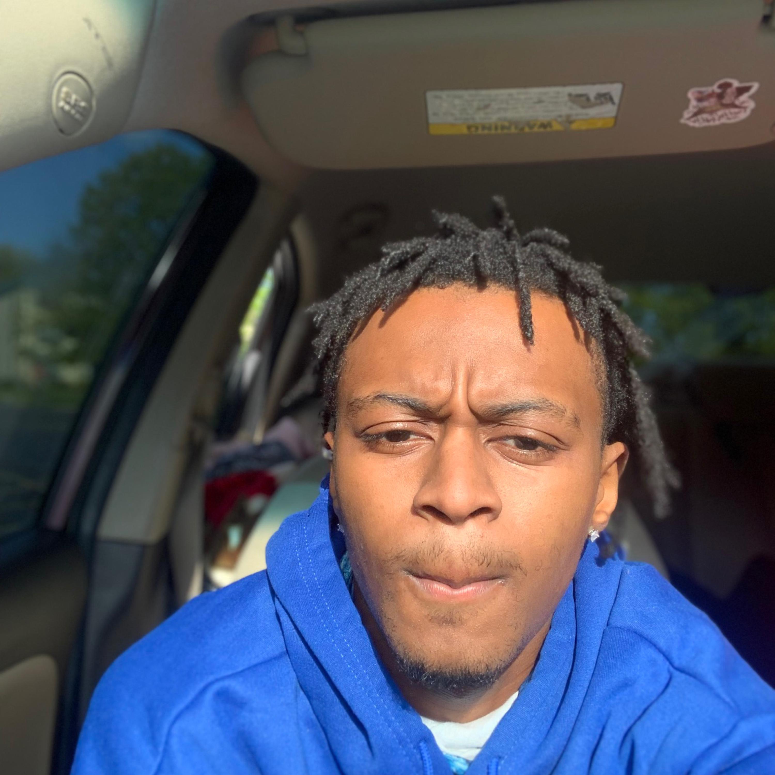 Fly artwork