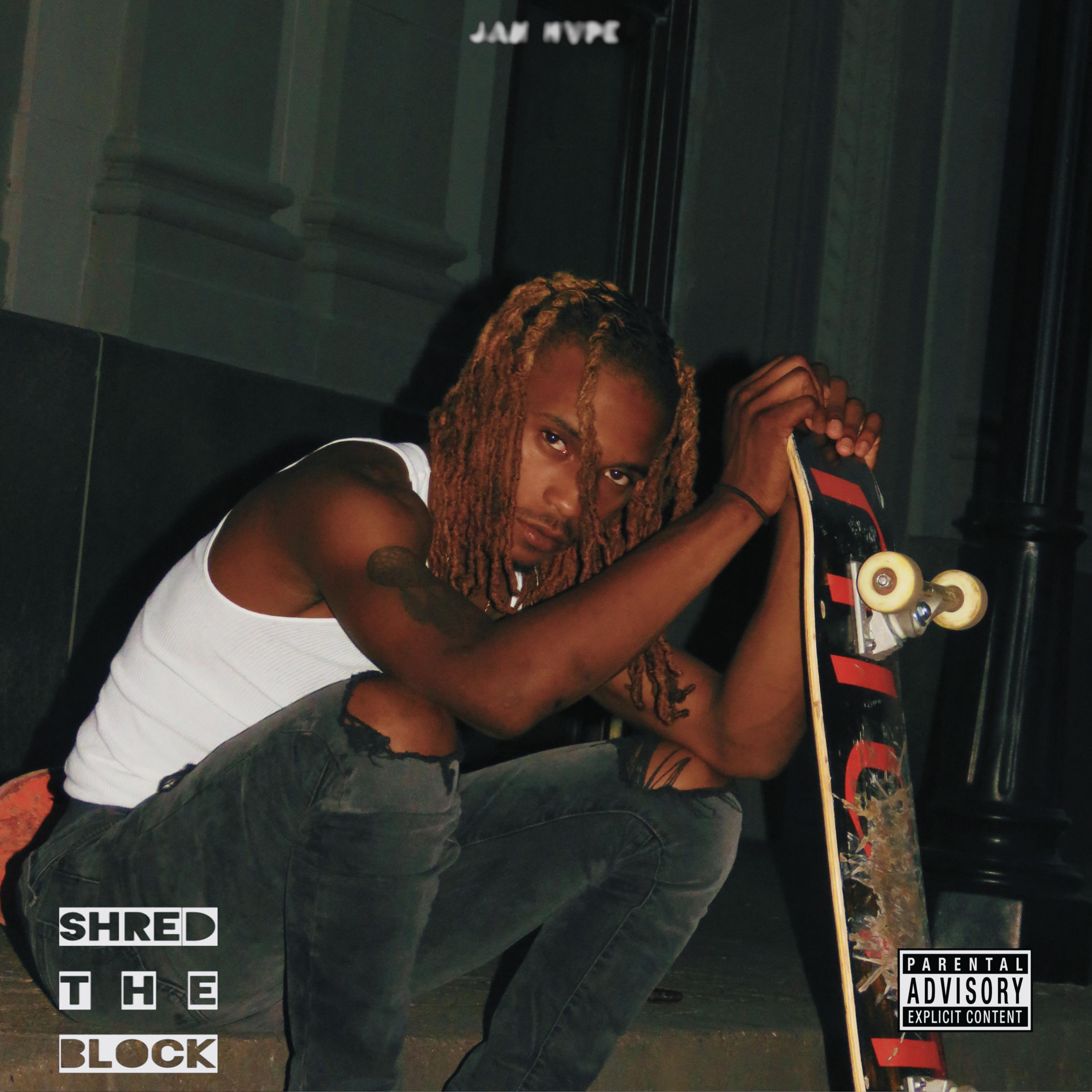 SHRED THE BLOCK artwork