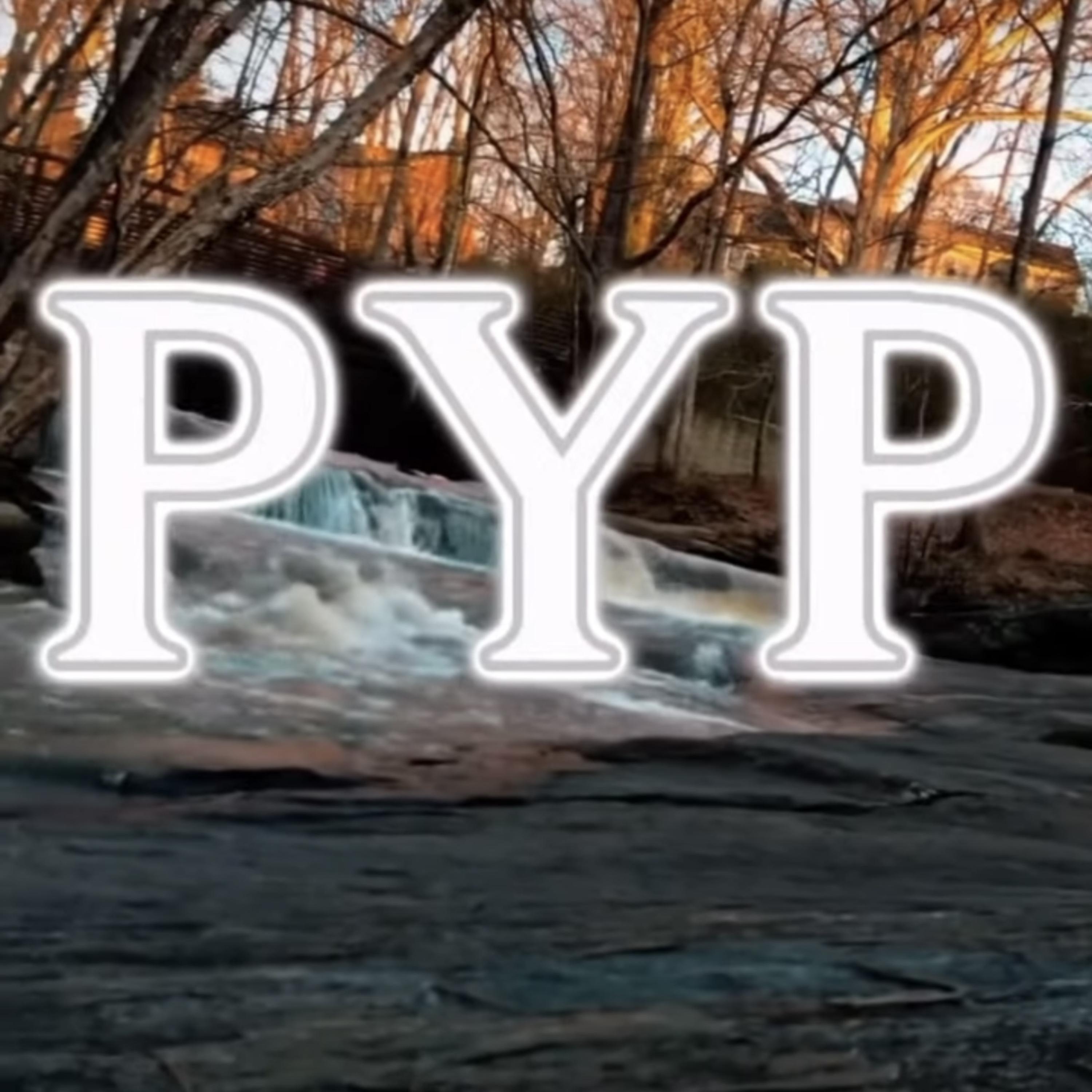 PYP by Lil $moo cover art