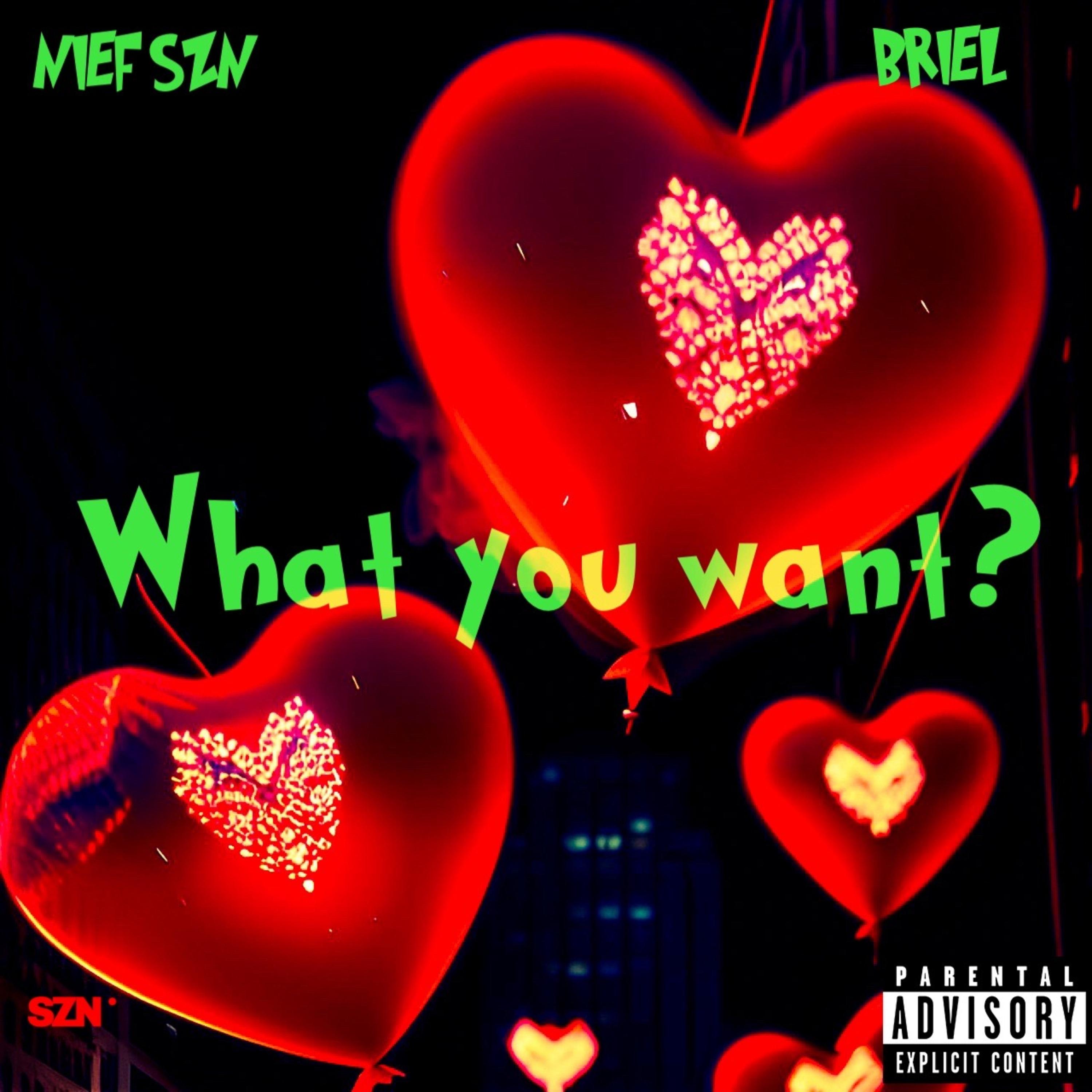 What You Want ? artwork