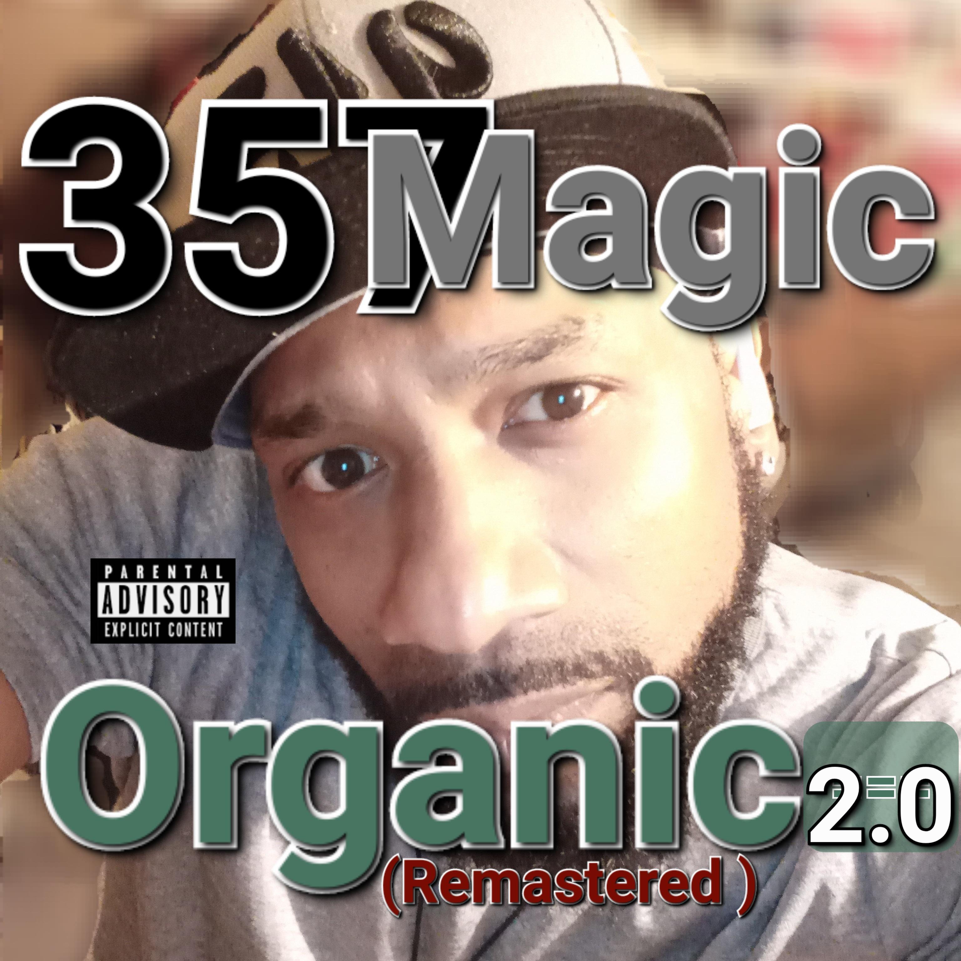 Organic 2.0 (Remastered) artwork