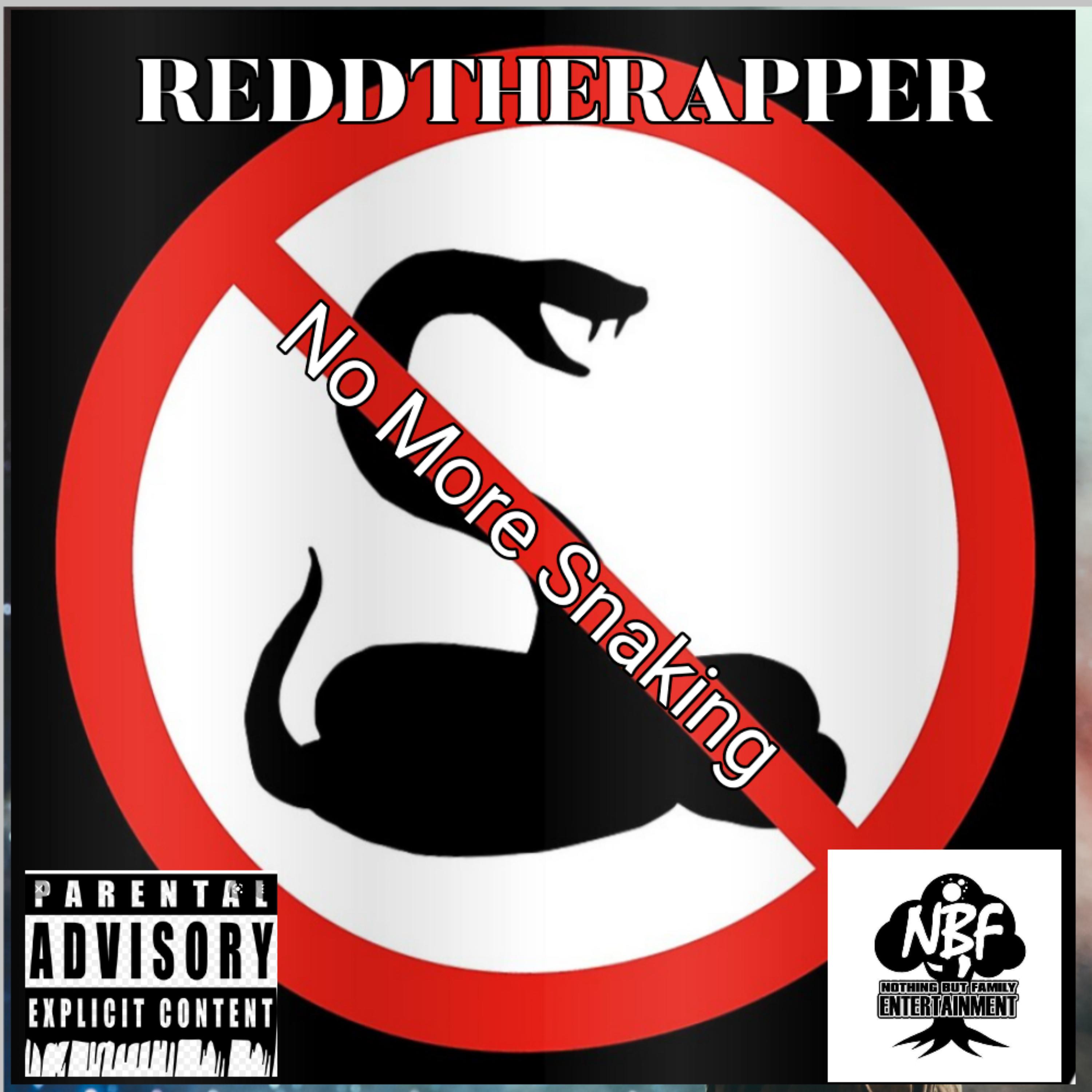 No More Snaking artwork