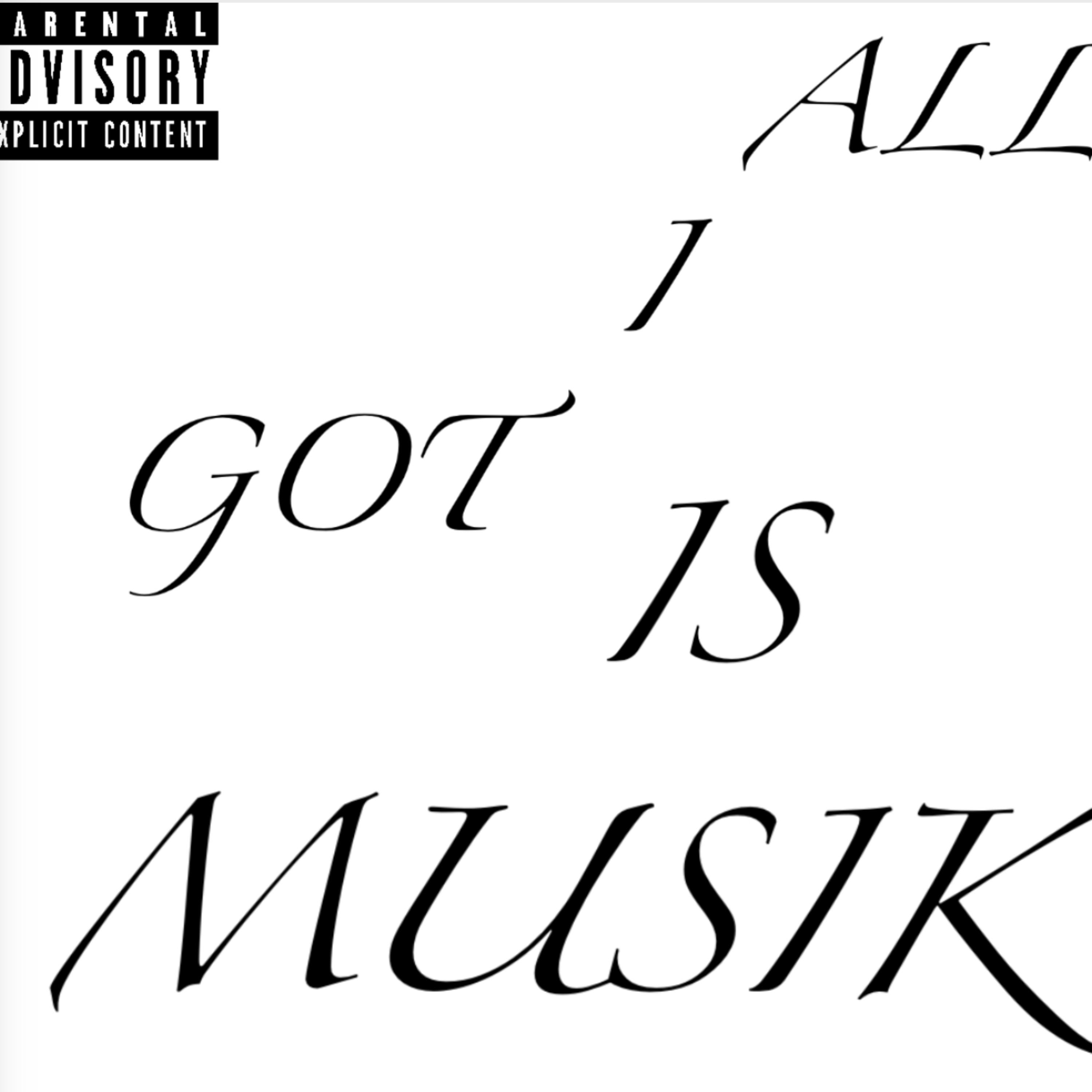 ALL I GOT IS MUSIK (DELUXE) artwork