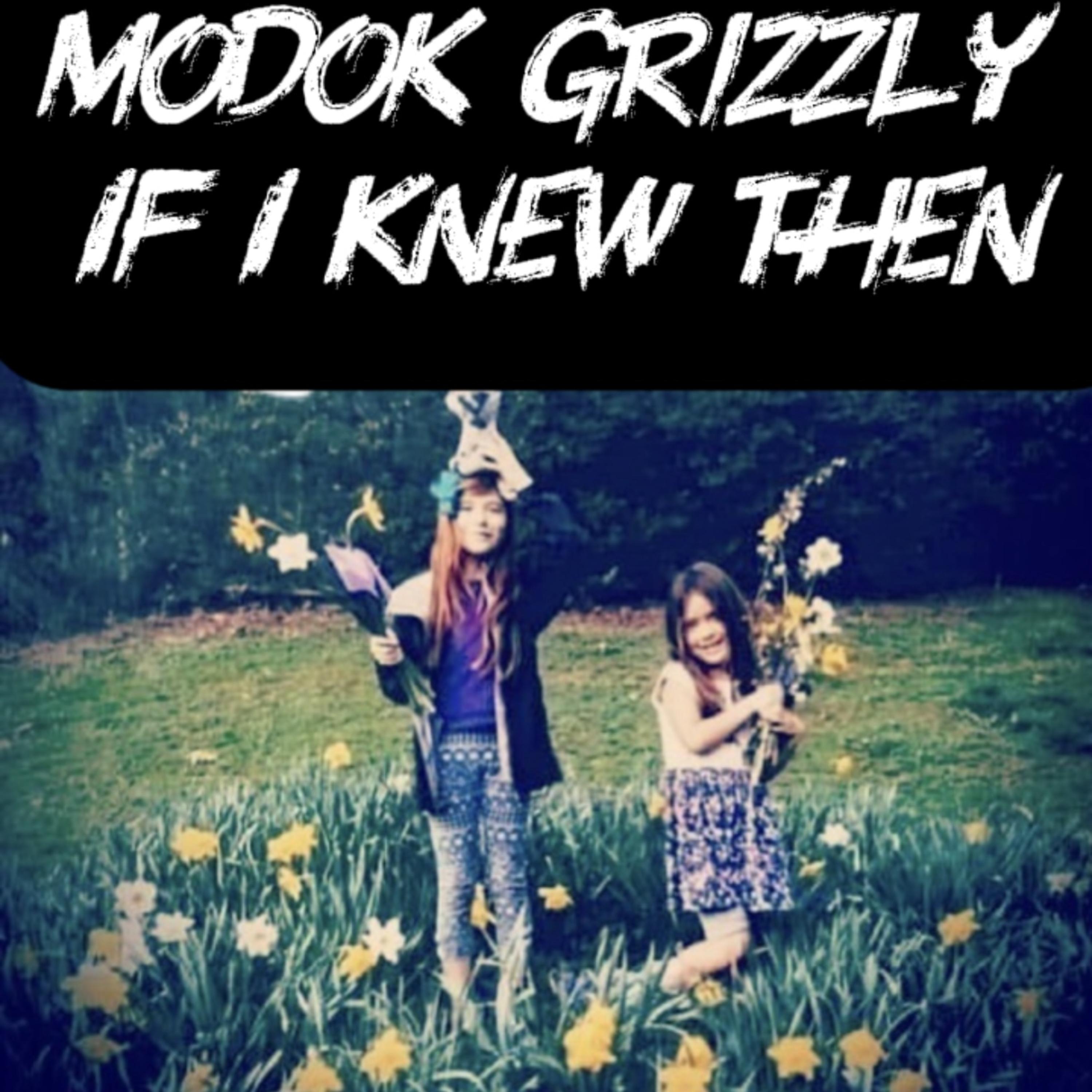 If I Knew Then artwork