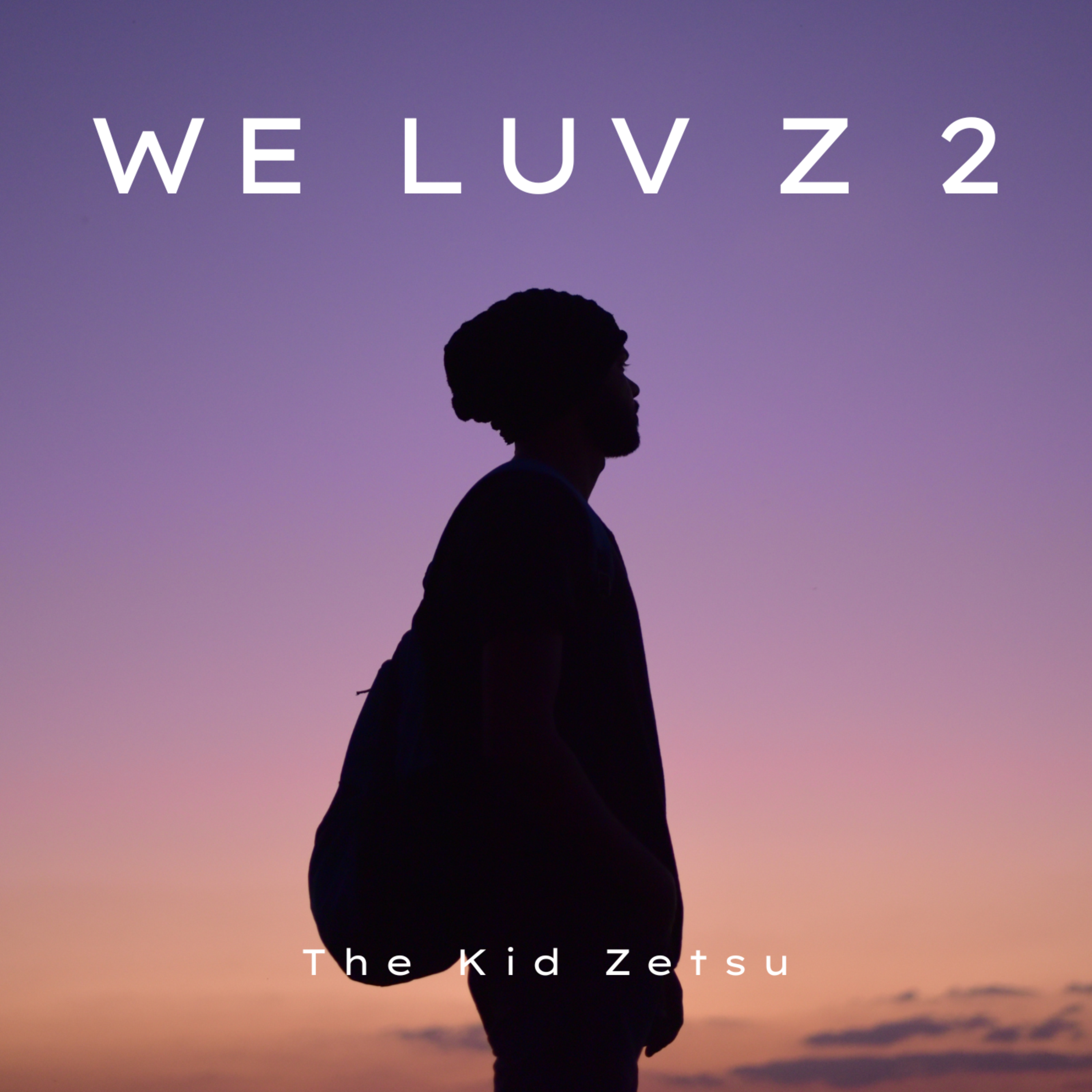 We Luv Z 2 artwork