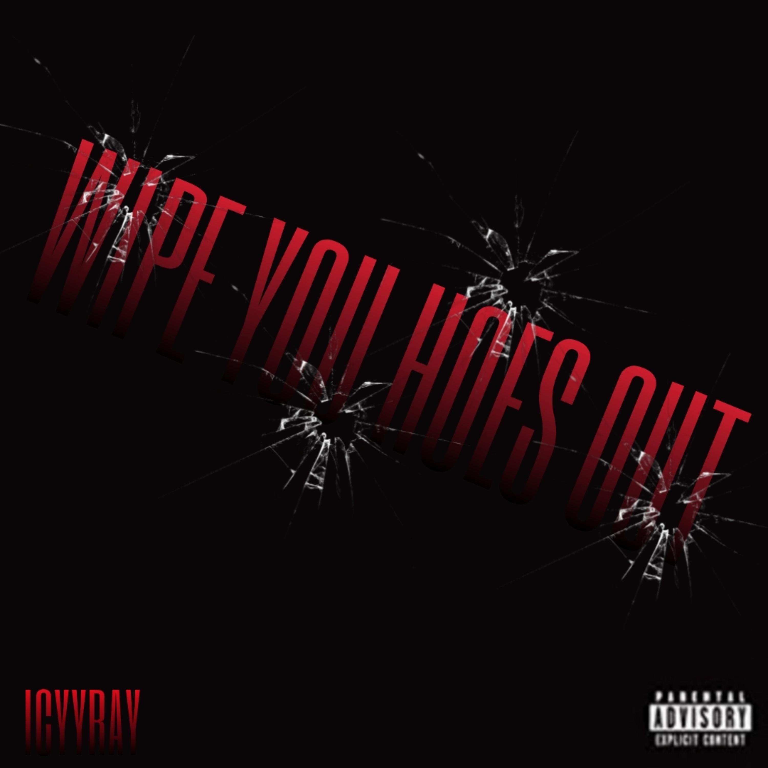 WIPE YOU HOES OUT artwork