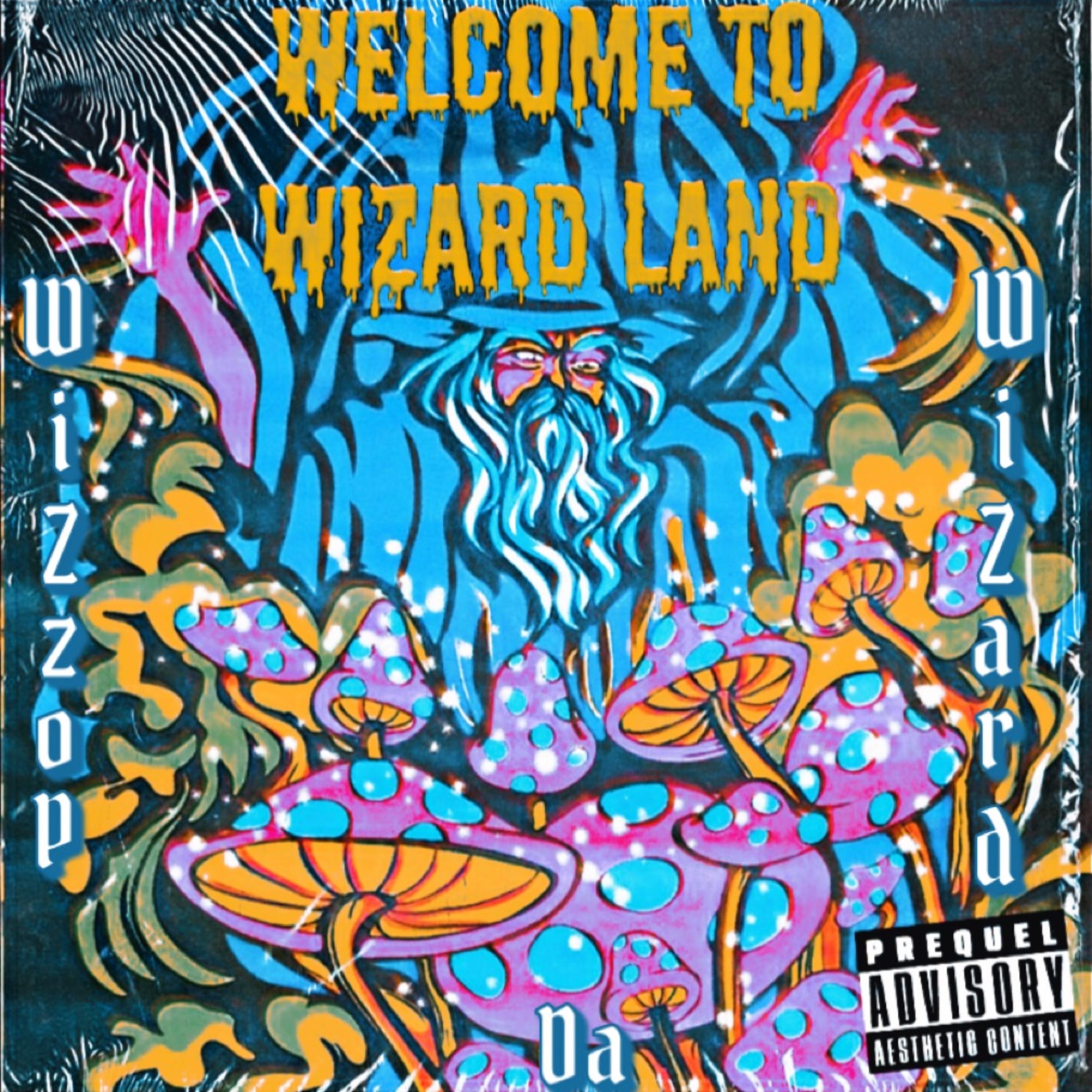 Welcome To Wizard Land artwork