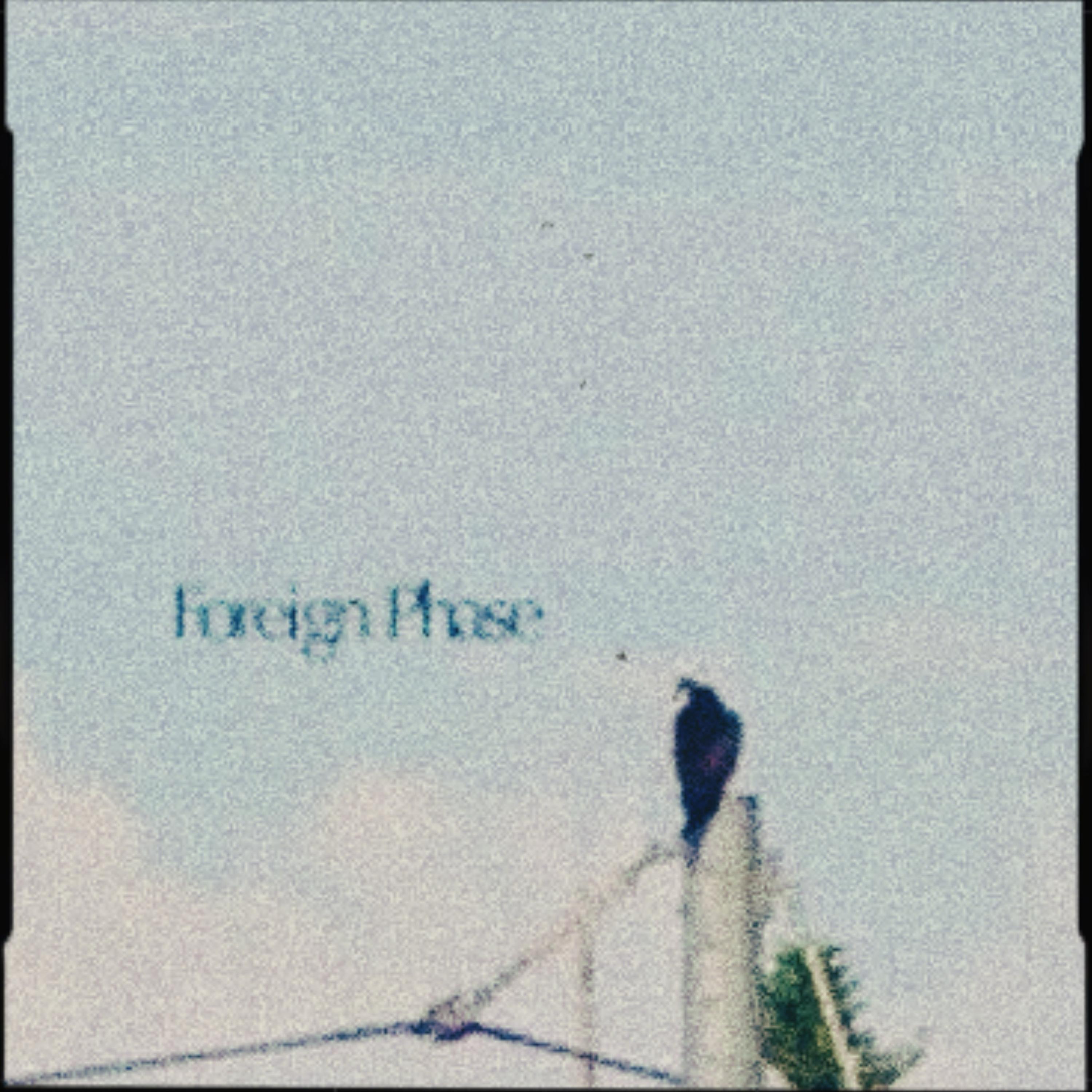 foreign phase artwork