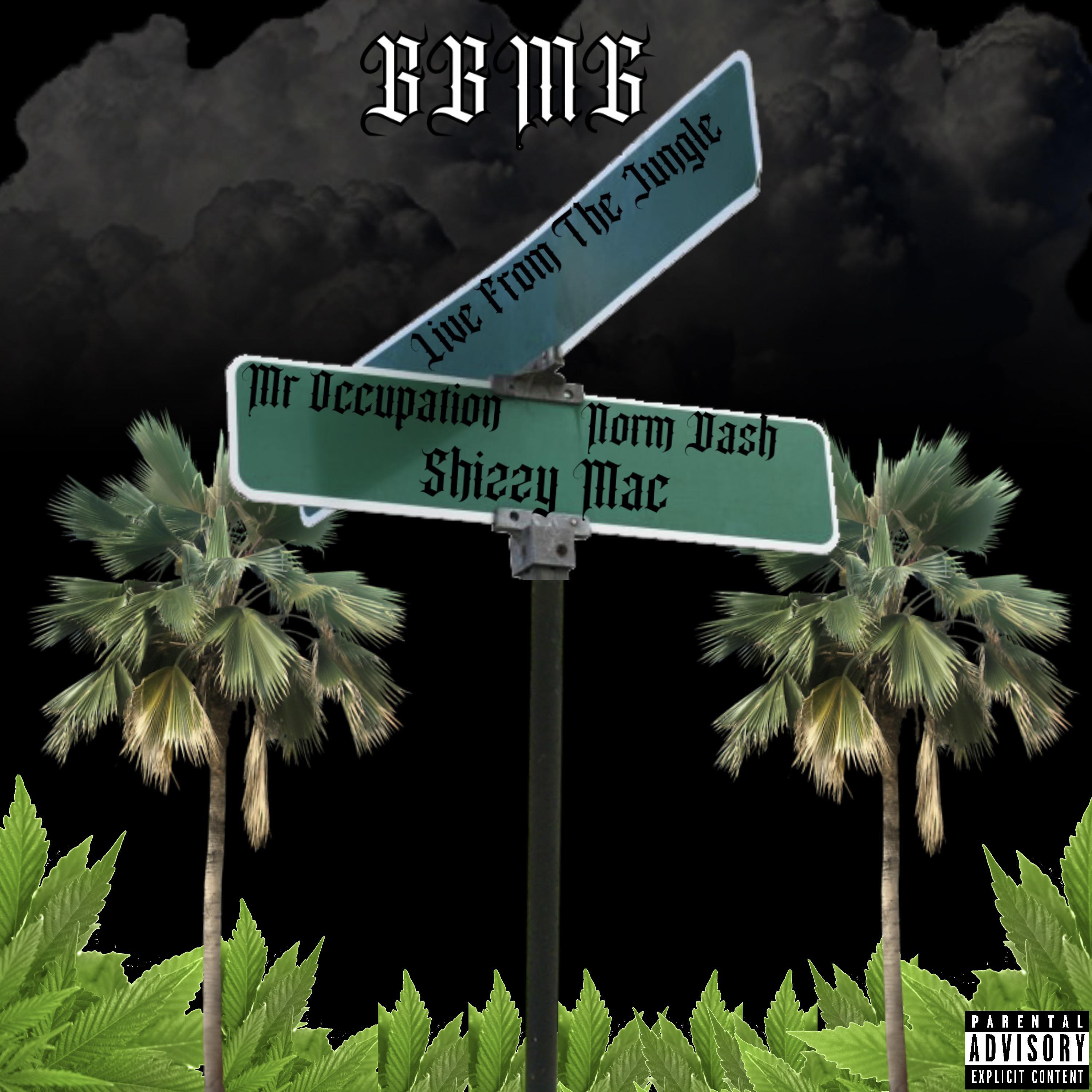 Live From The Jungle artwork