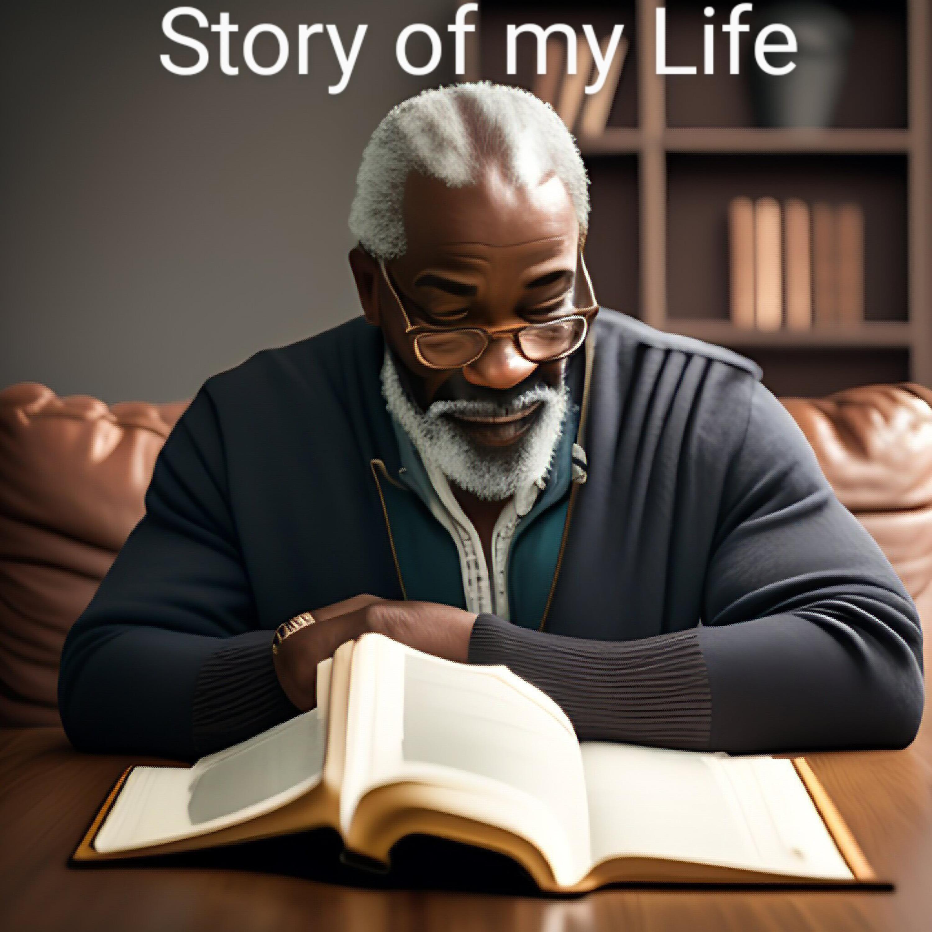 Story Of My Life artwork