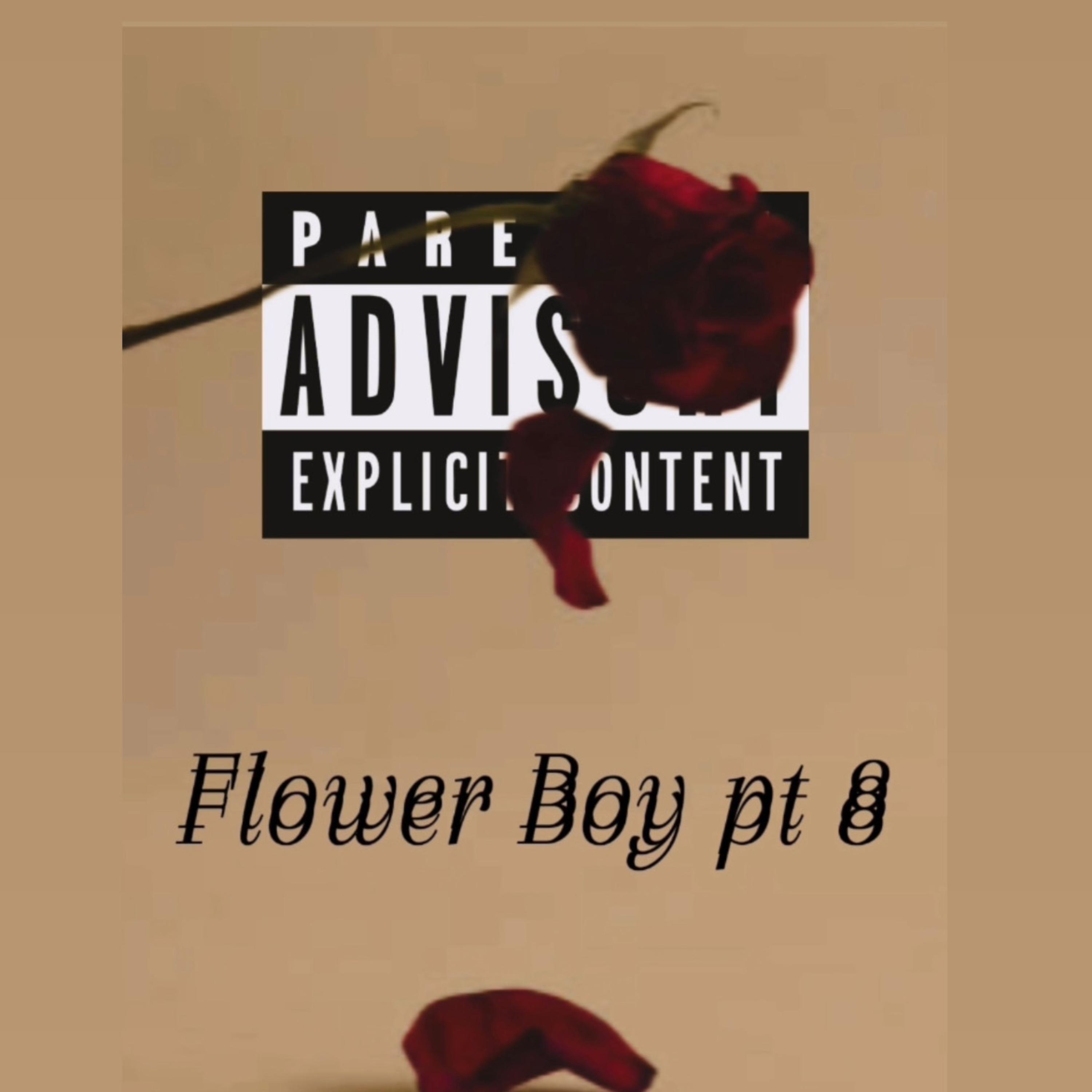 Flower Boy Pt 8 artwork