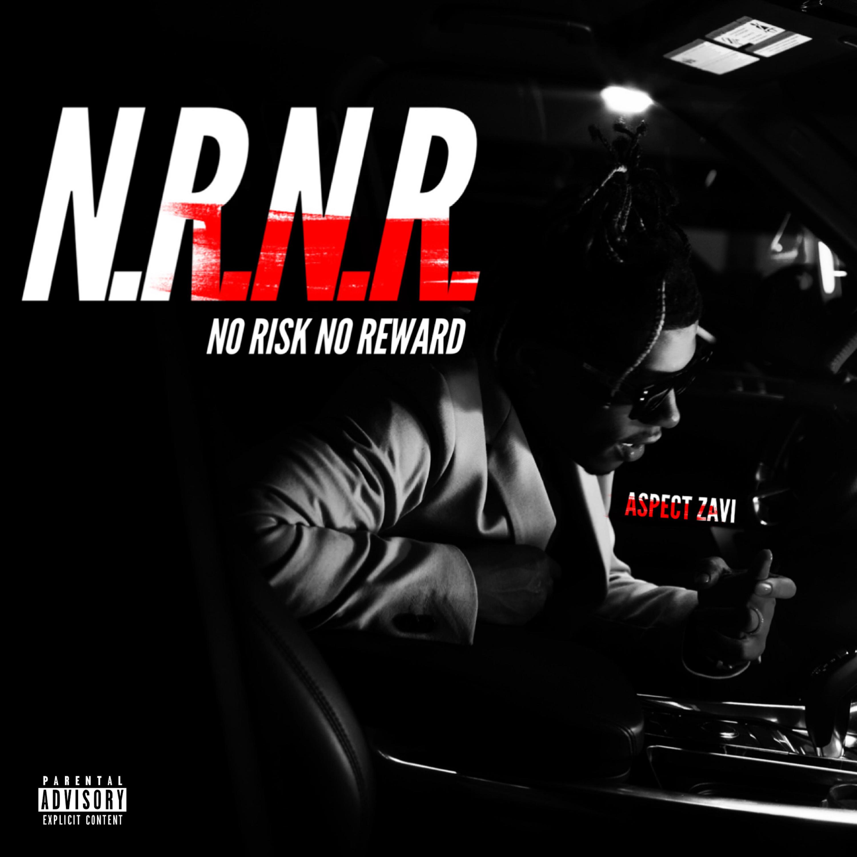 NO. RISK. NO. REWARD. artwork