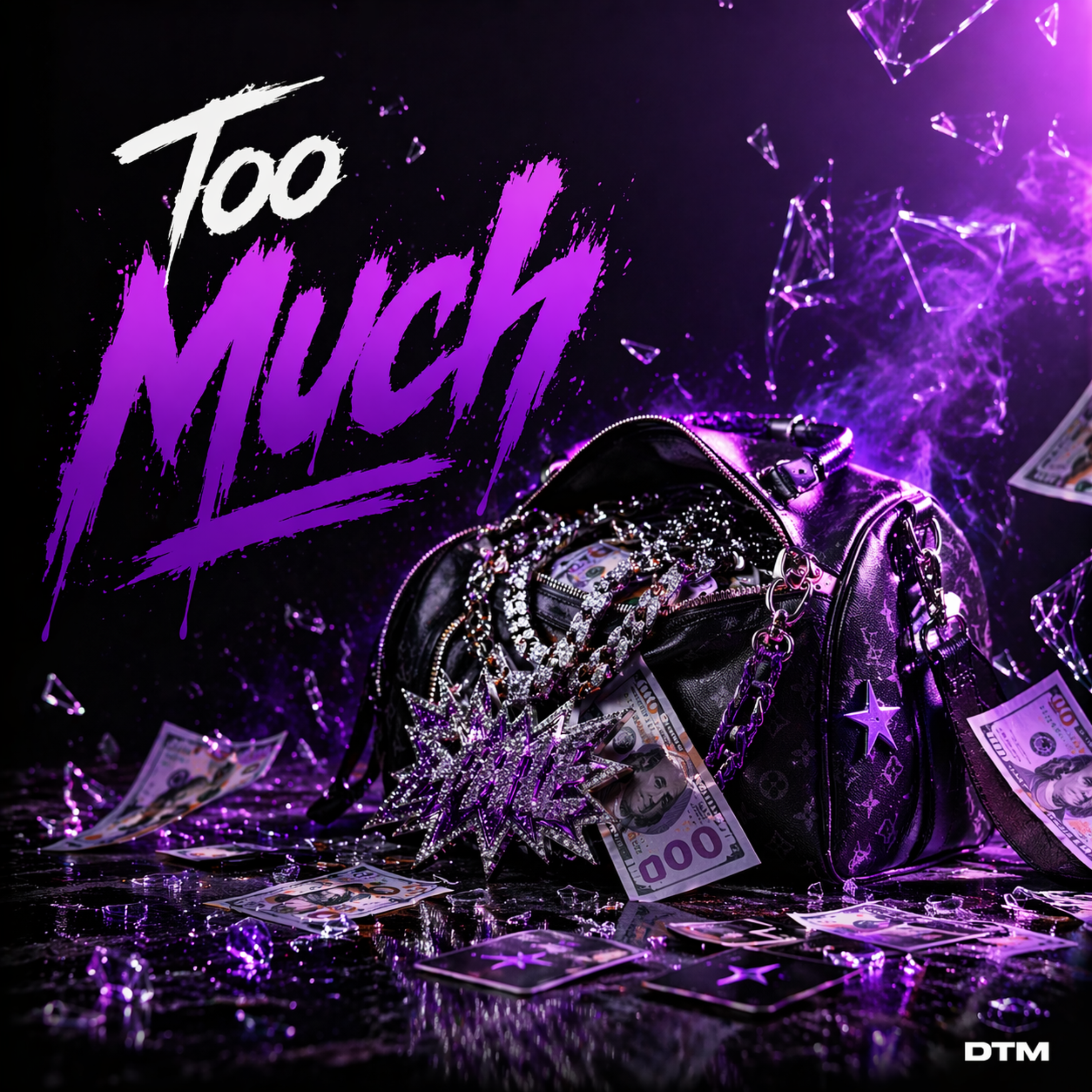 Too Much artwork