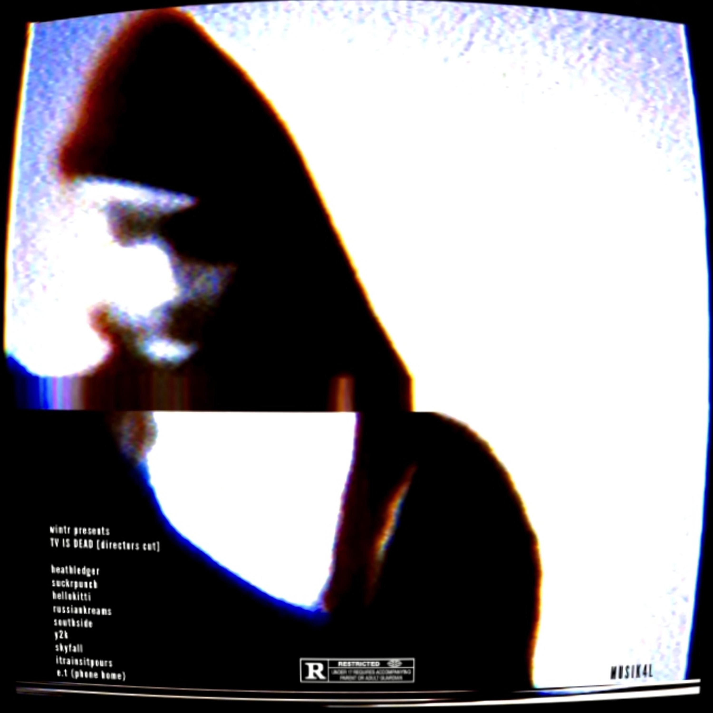 tv is dead [dir. cut] artwork