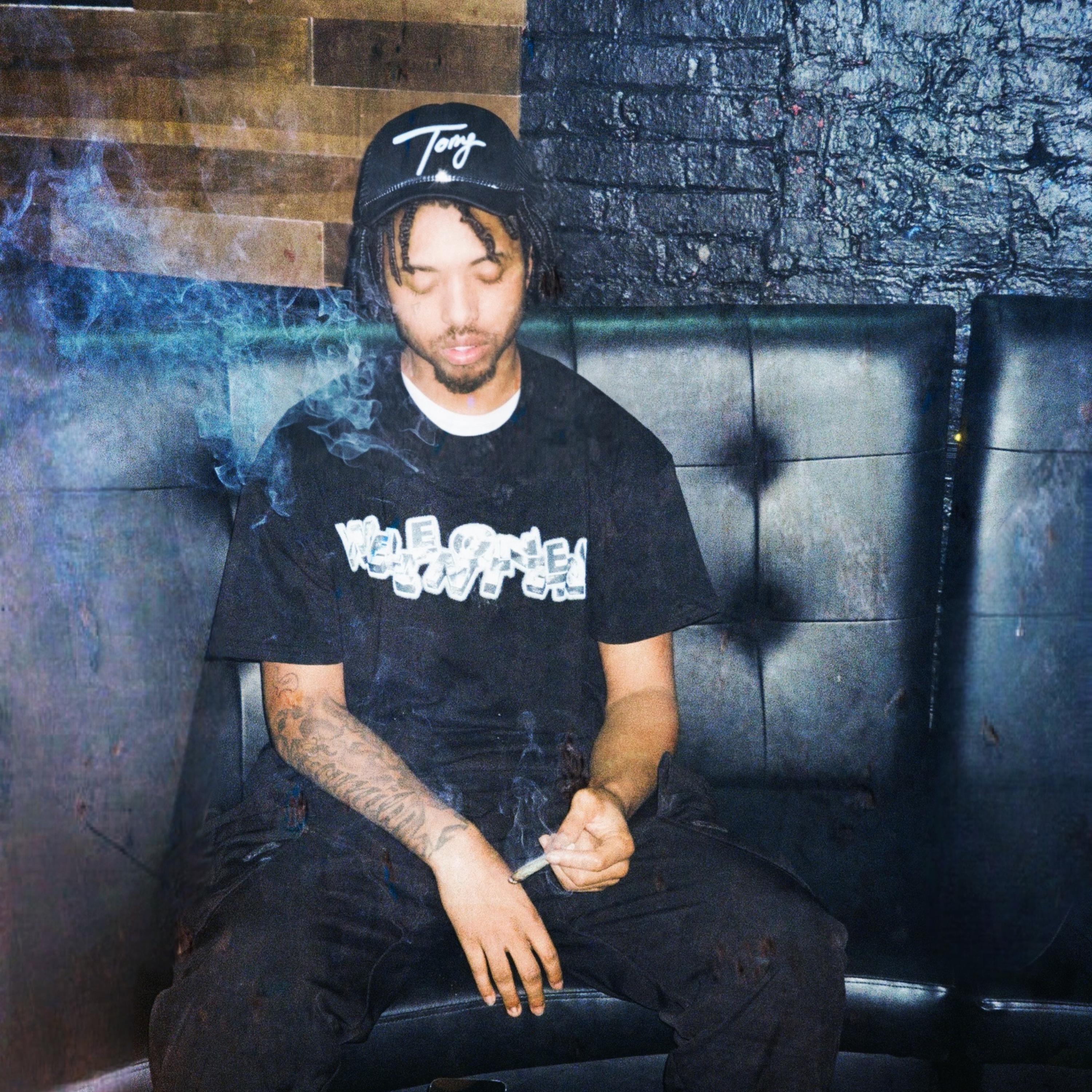 Celebrity House Parties artwork