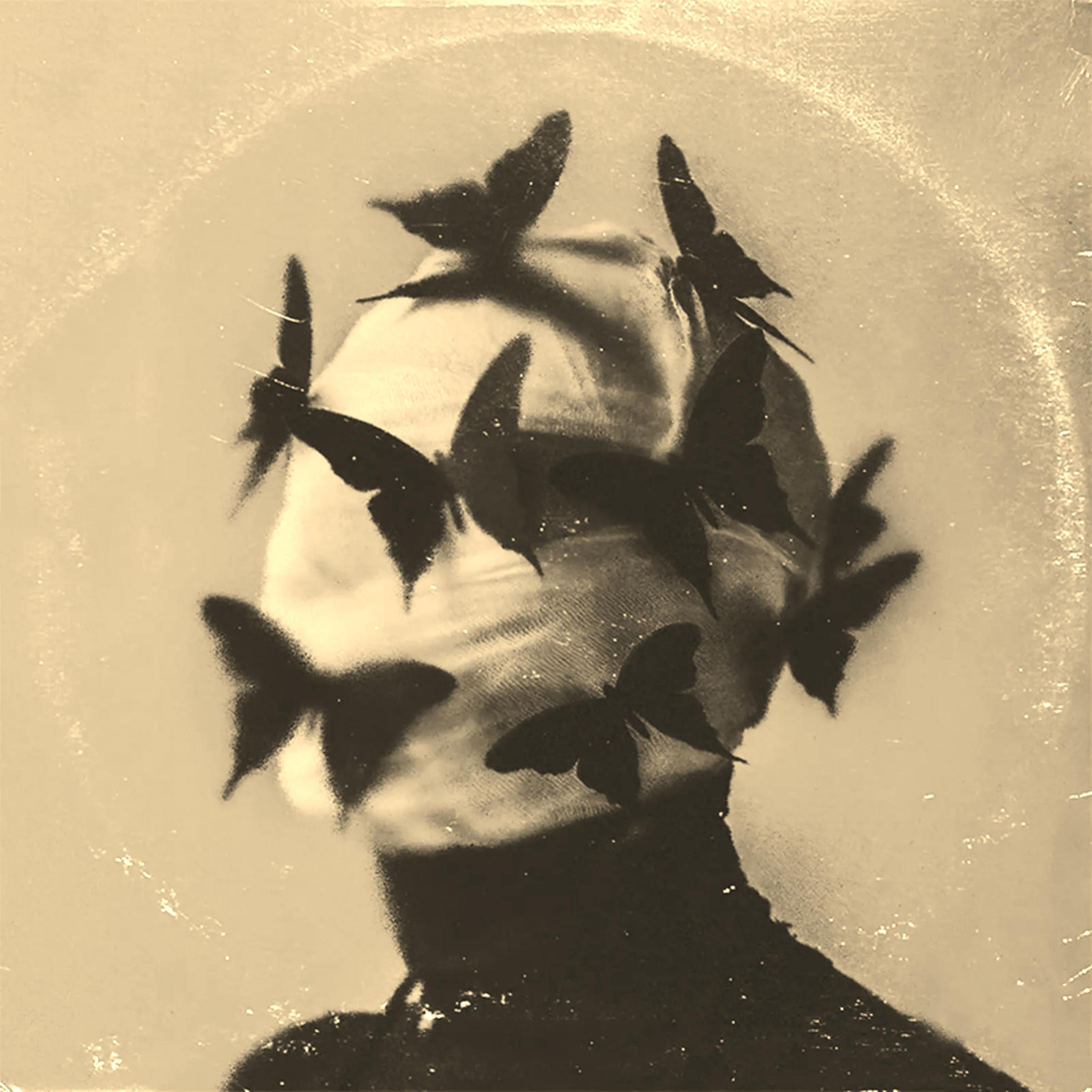 Blind artwork