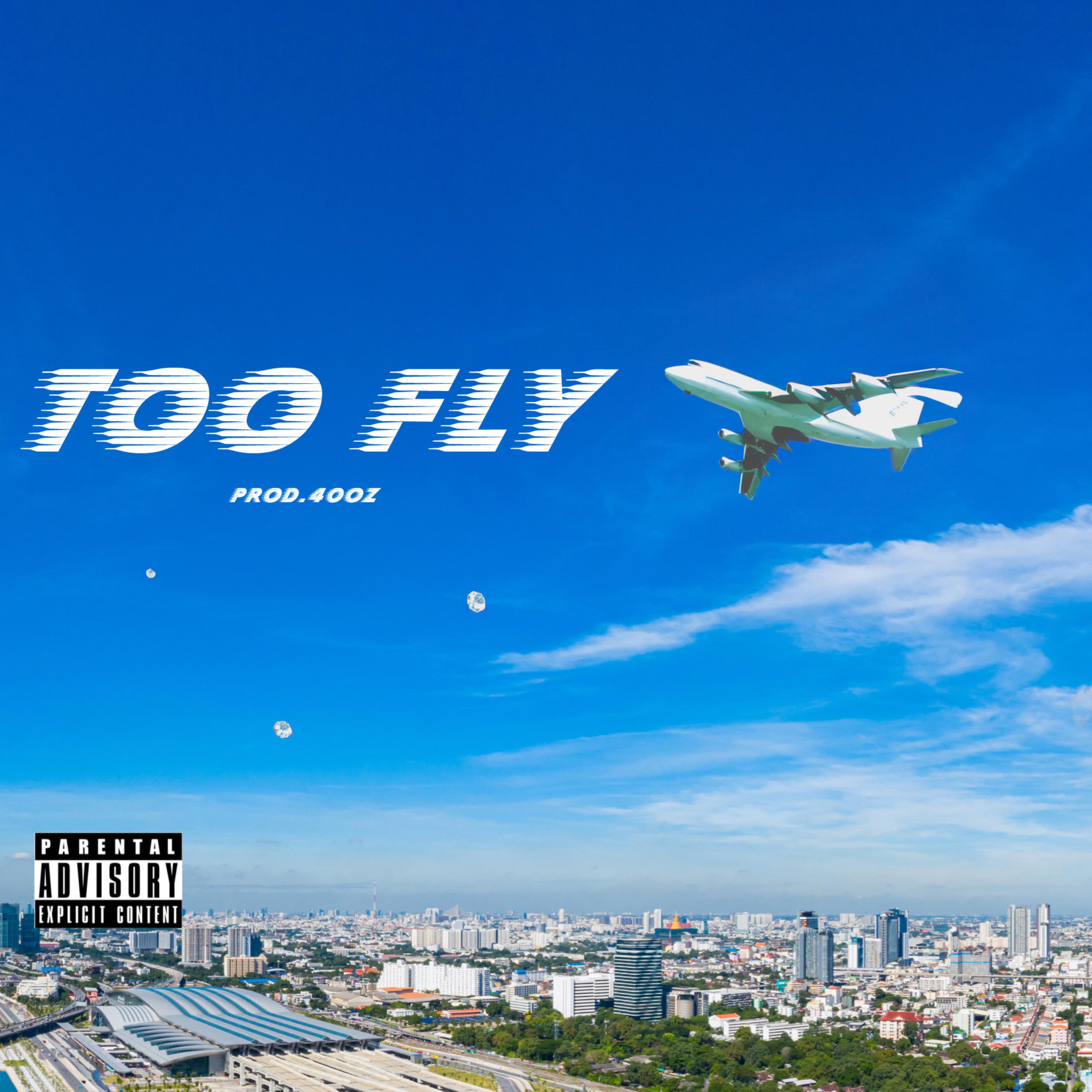 Too Fly artwork