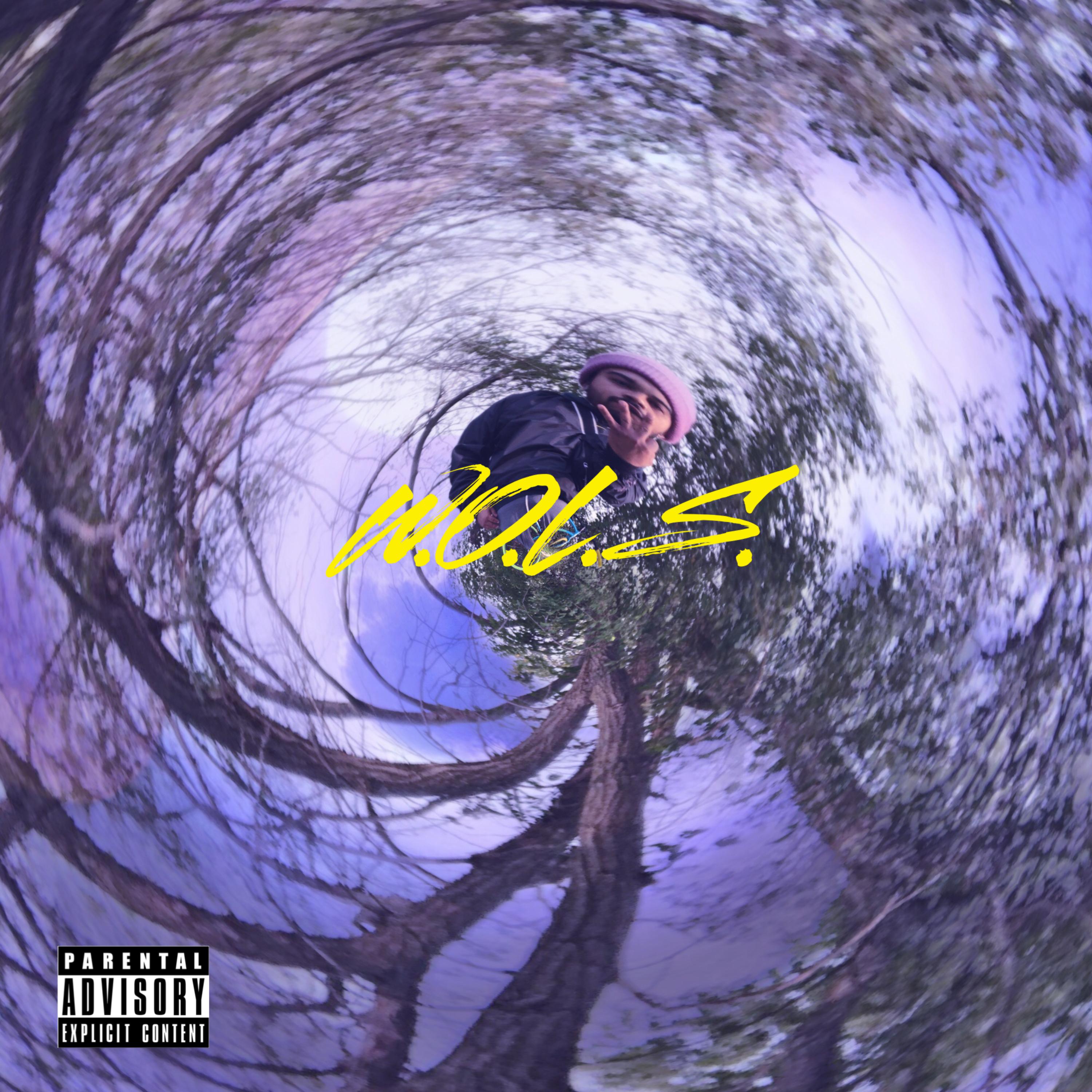 QVH?? artwork
