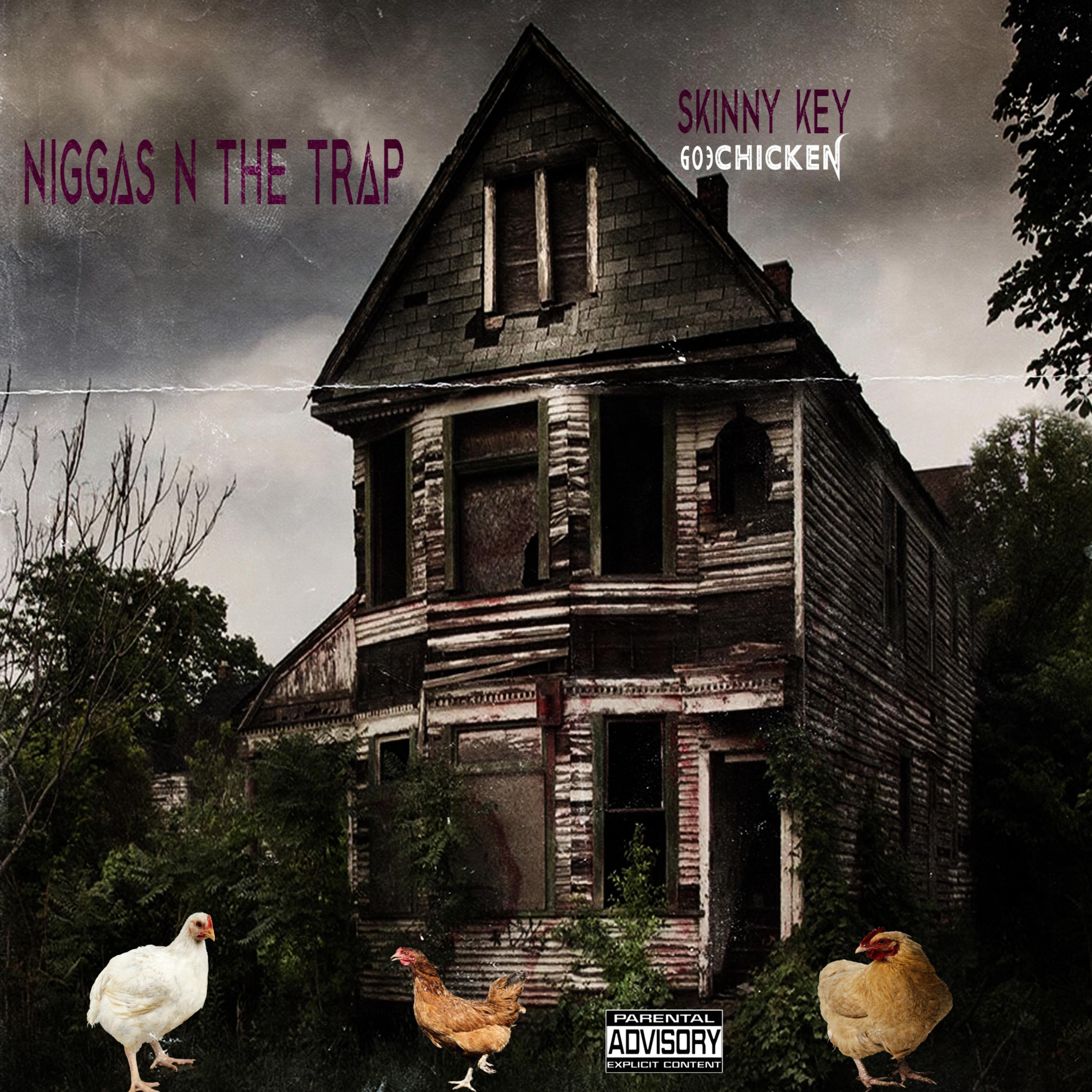 Fa Dem Ni**as N Da Trap artwork